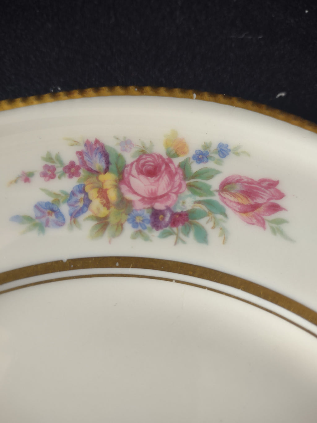 Vintage Castleton China Bouquet Off-White Gold Beaded Rim Plate 9" [6751]