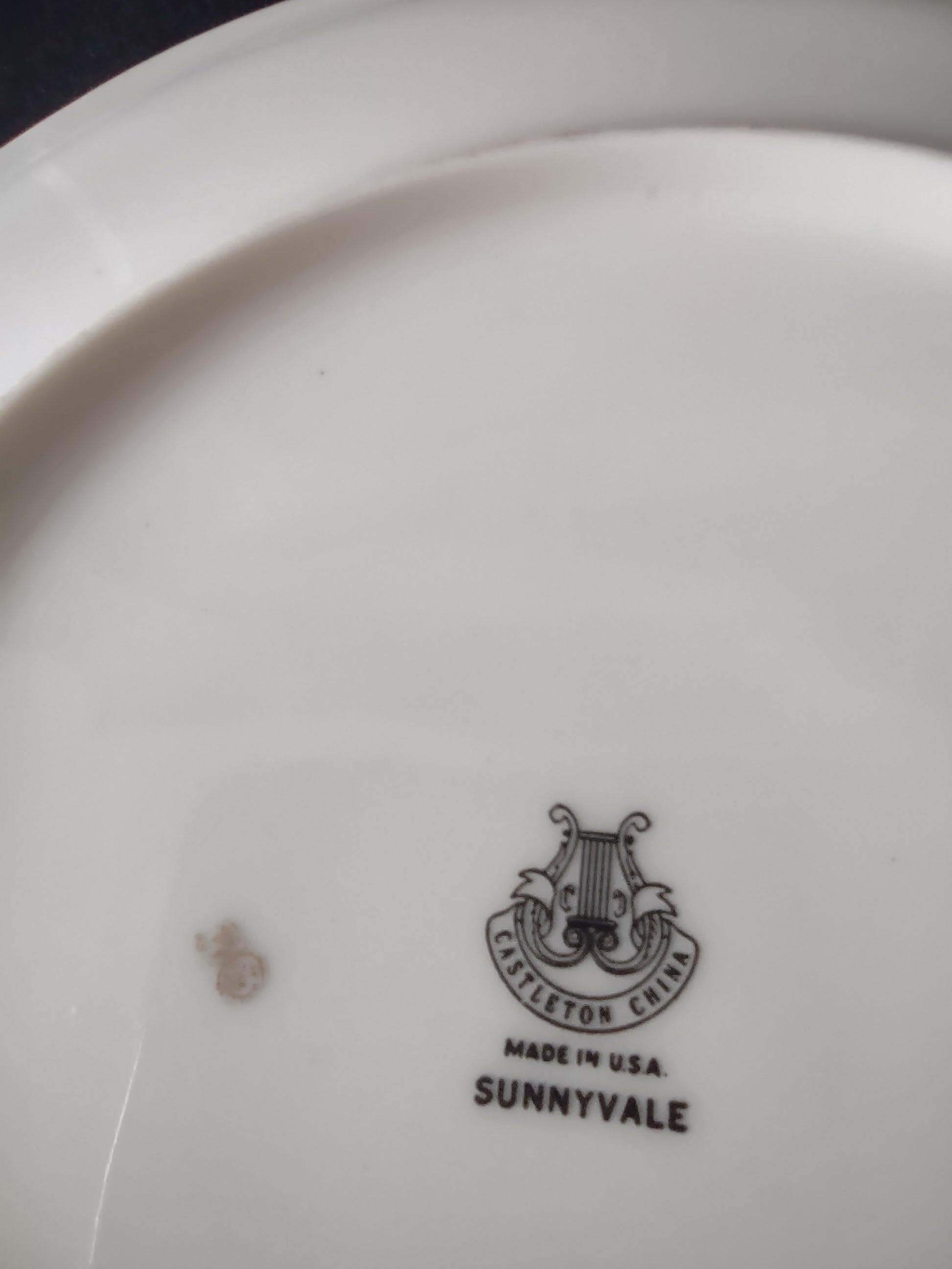 Vintage Castleton China Sunnyvale Floral 8" Plate Pink Blue Yellow [6752]