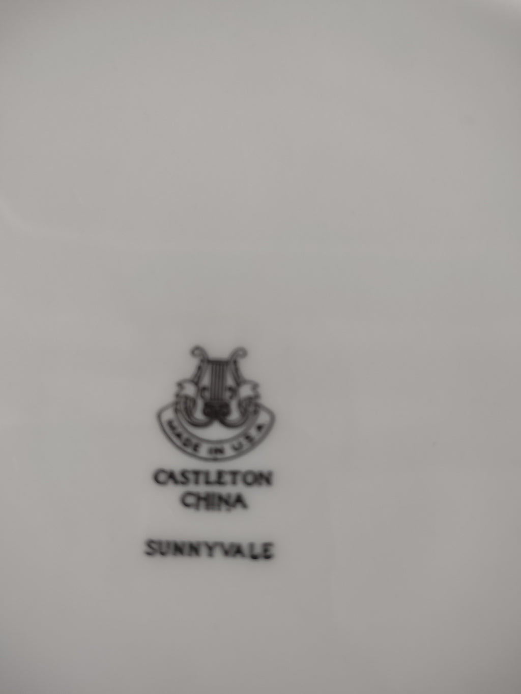 Vintage Castleton China Sunnyvale Dinner Plates Pink Blue Floral Set of 2 [6754]