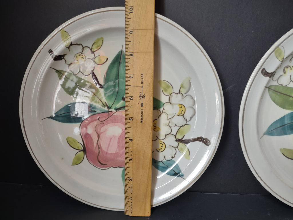 Vintage Red Wing Hand Painted Fruit Floral Off-White Plate x2 [6759]