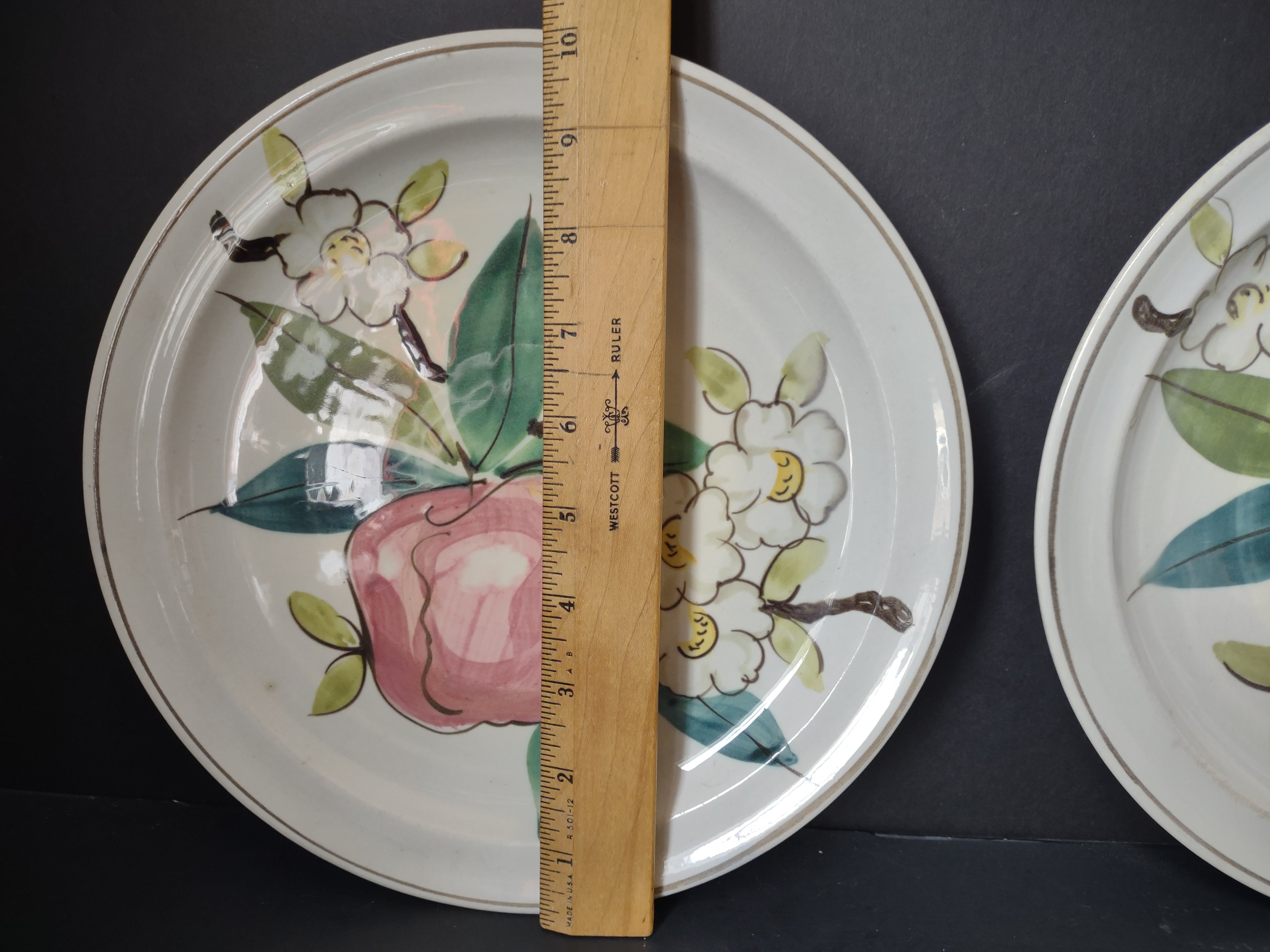 Vintage Red Wing Hand Painted Fruit Floral Off-White Plate x2 [6759]