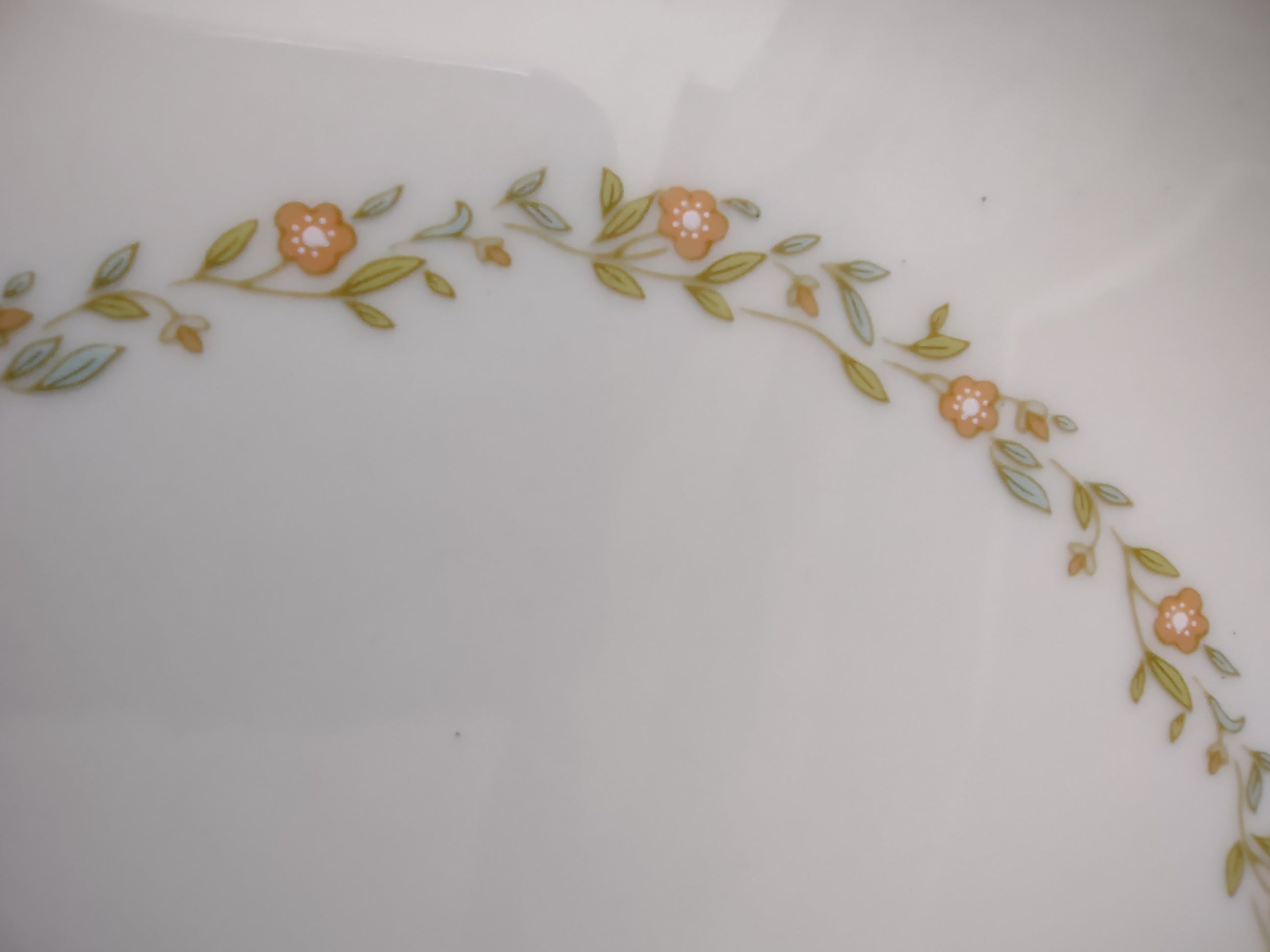 Vintage Gorham Fine China Oval Serving Platter Butterfly Floral [6783]