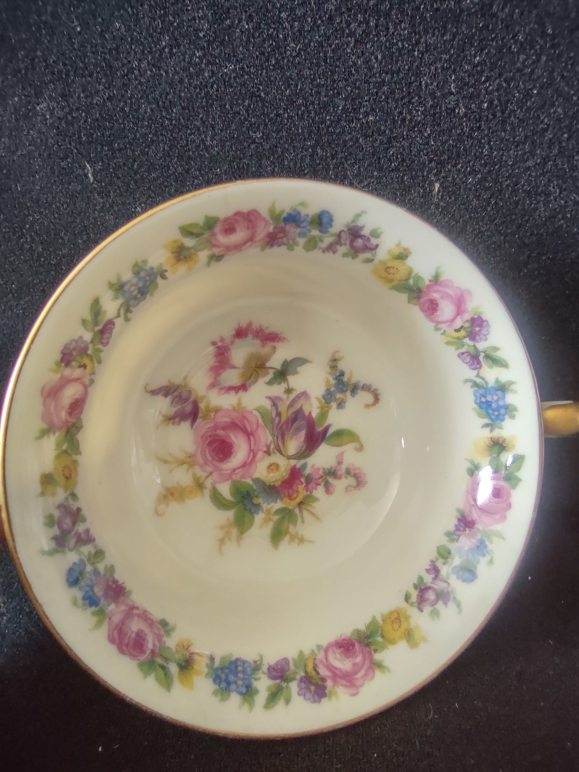 Vintage Castleton China Castleton Manor Cream Soup Bowl Pink Roses [6796]