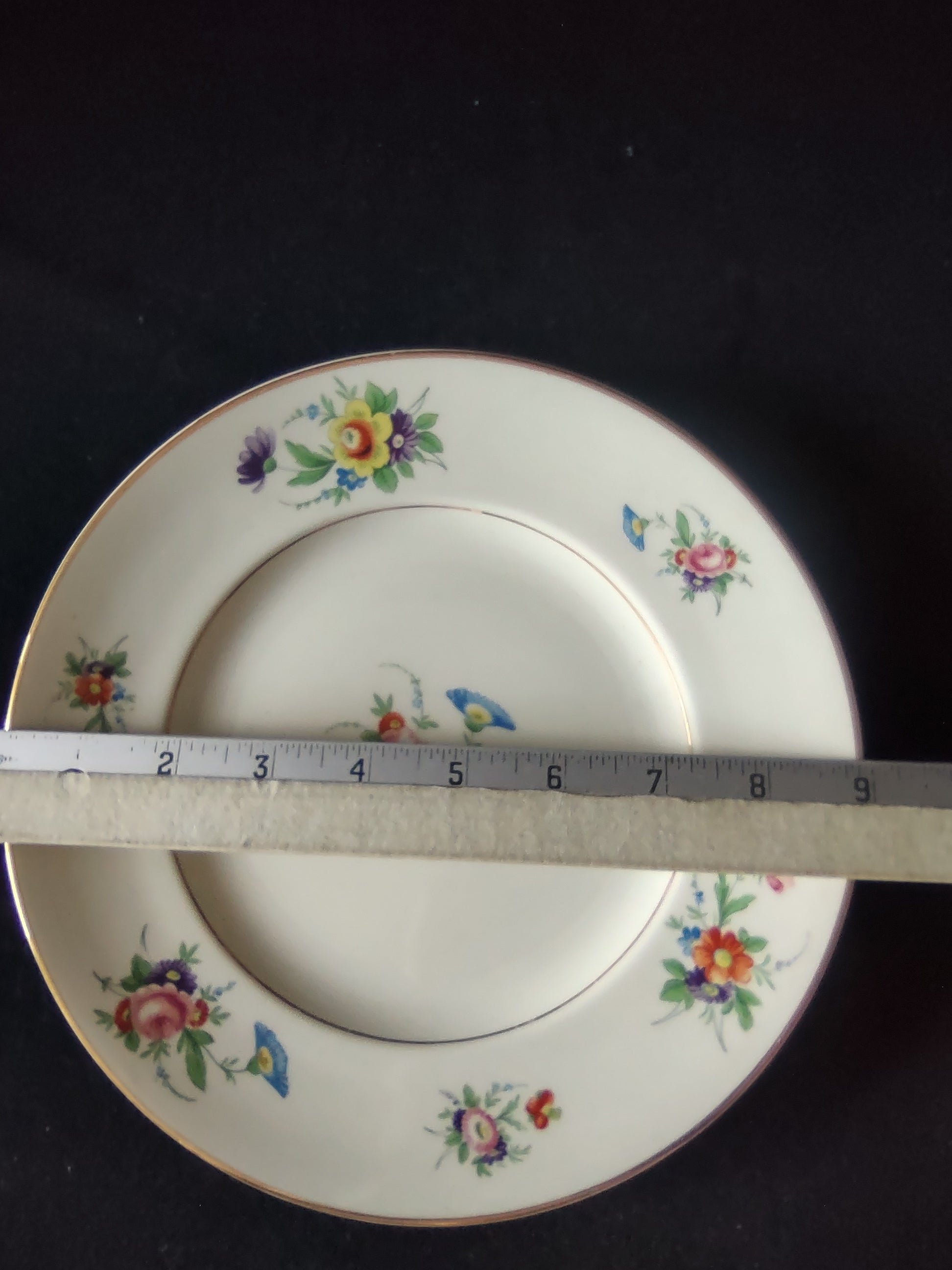 Vintage Syracuse China Selma Dinner Plate 9" [6799]