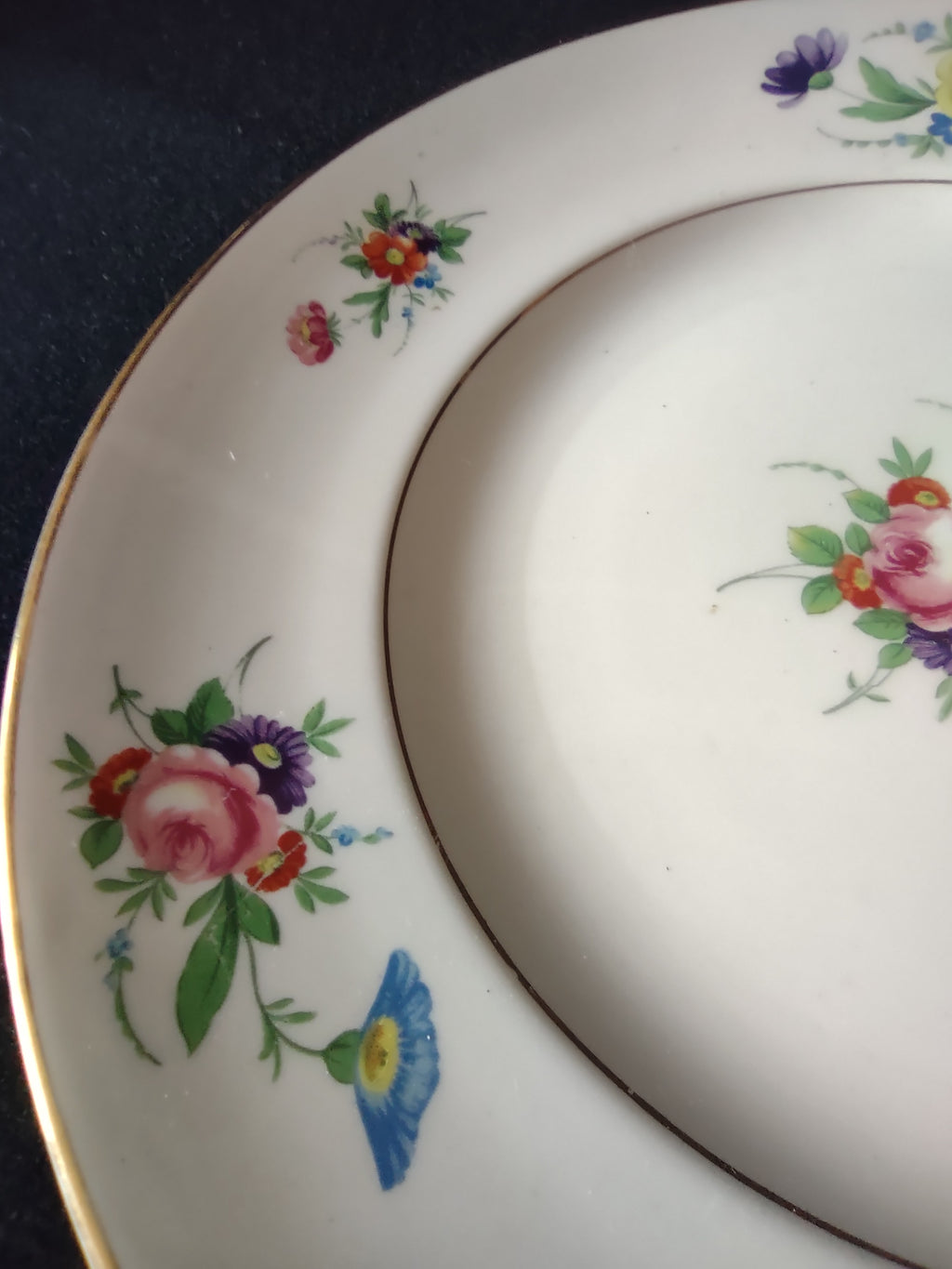 Vintage Syracuse China Selma Dinner Plate 9" [6799]
