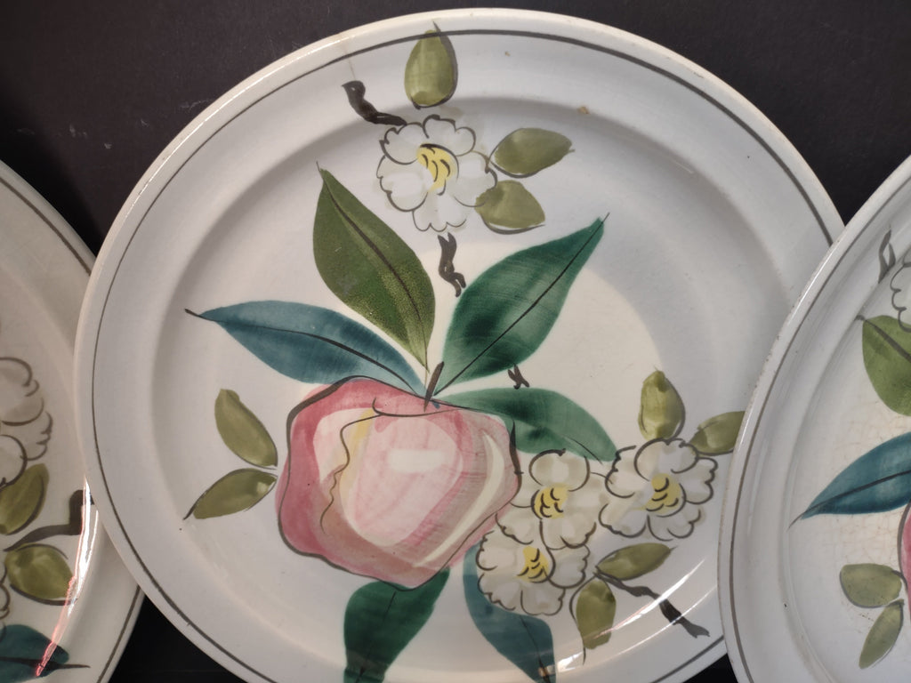 Vintage Blue Ridge Southern Potteries Apple Plate Set of 4 9.5" - three plates with ruler showing size
