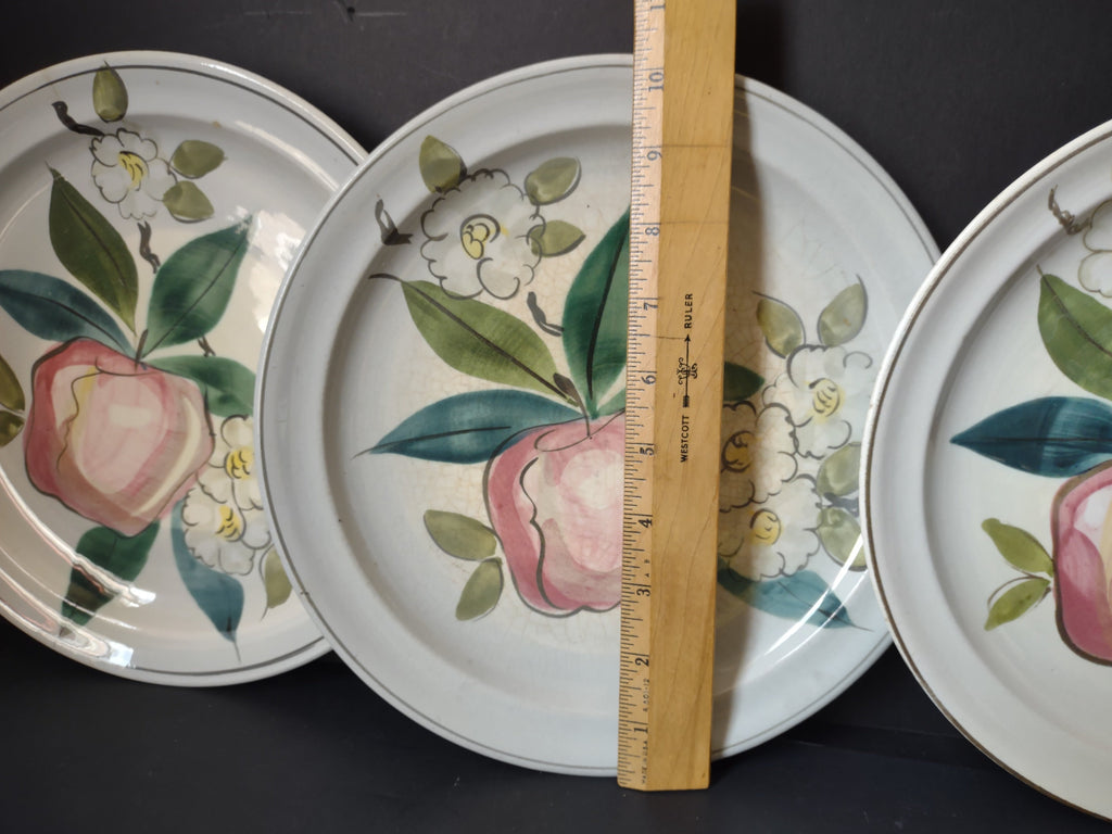 Vintage Blue Ridge Southern Potteries Apple Plate Set of 4 9.5" - rim detail close-up