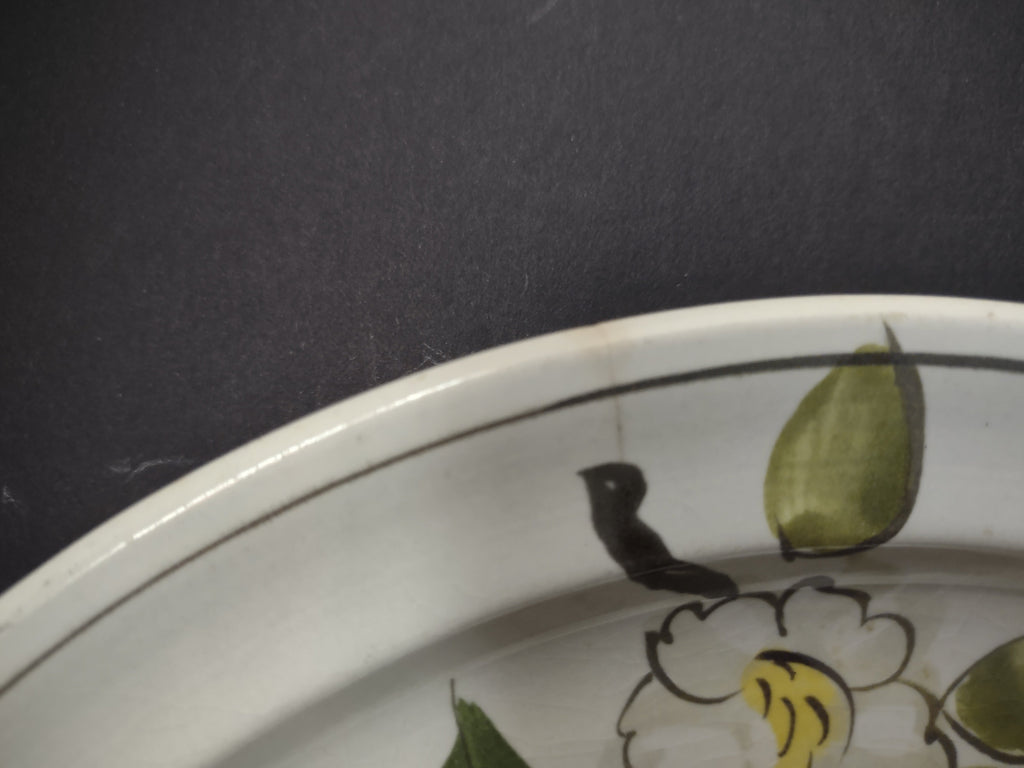 Vintage Blue Ridge Southern Potteries Apple Plate Set of 4 9.5" - additional pattern view