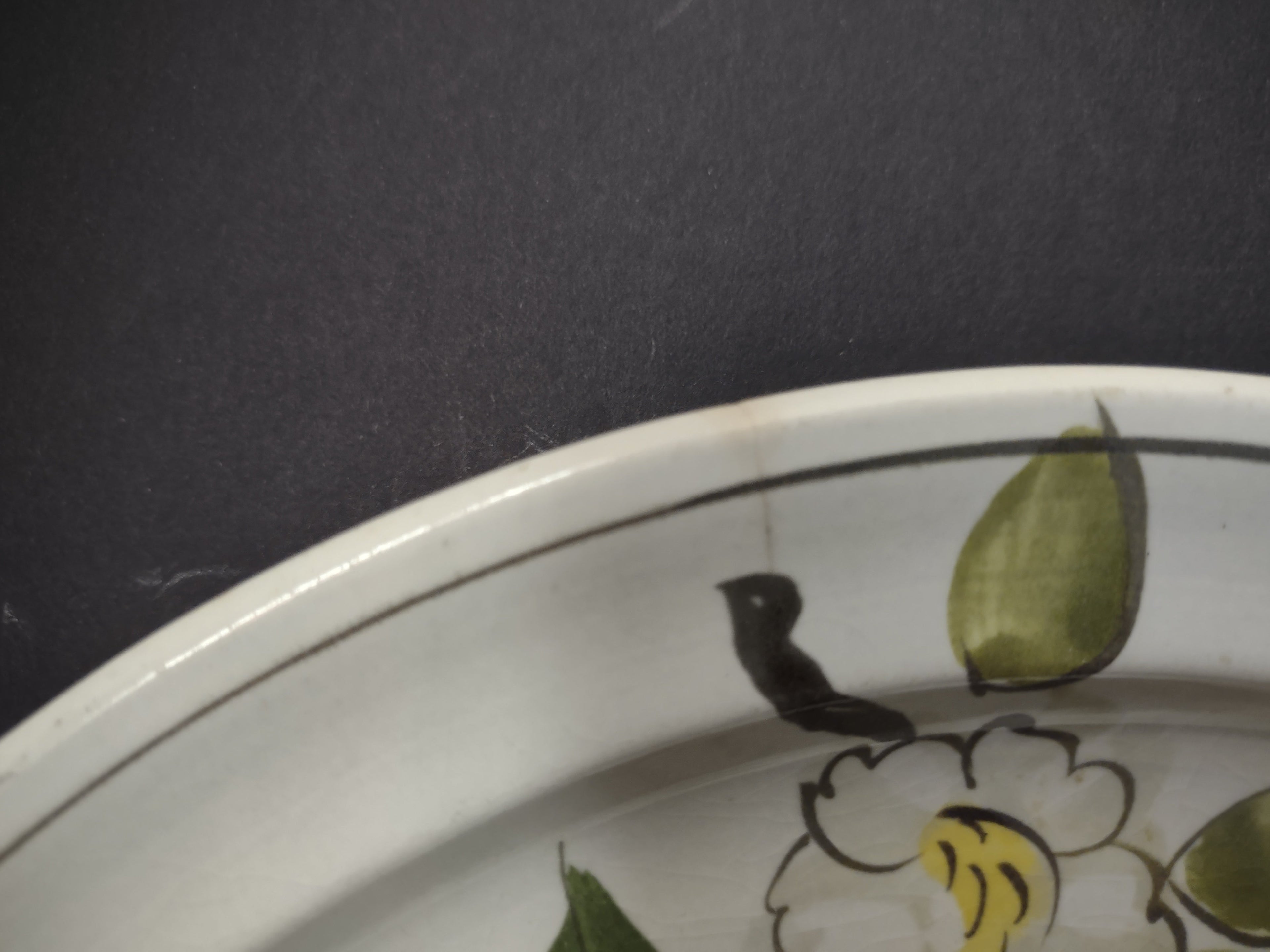 Vintage Blue Ridge Southern Potteries Apple Plate Set of 4 9.5" - additional pattern view