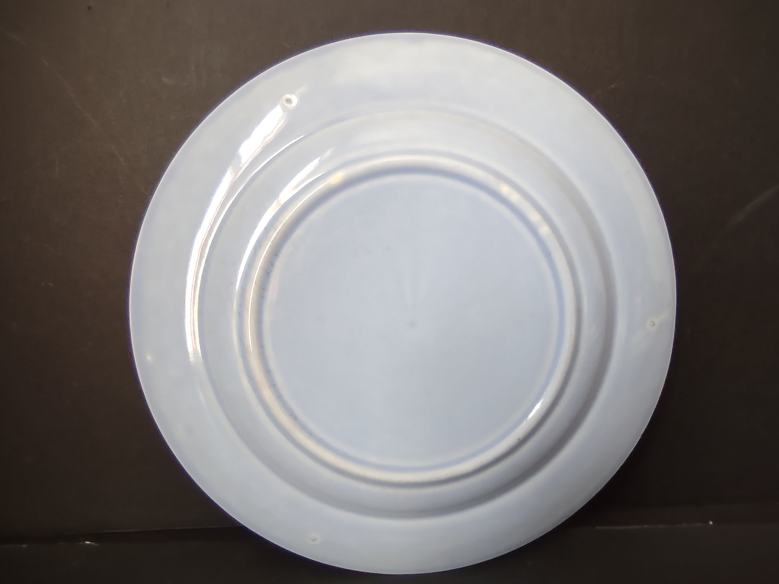 Vintage light blue plate side view showing profile and rim detail