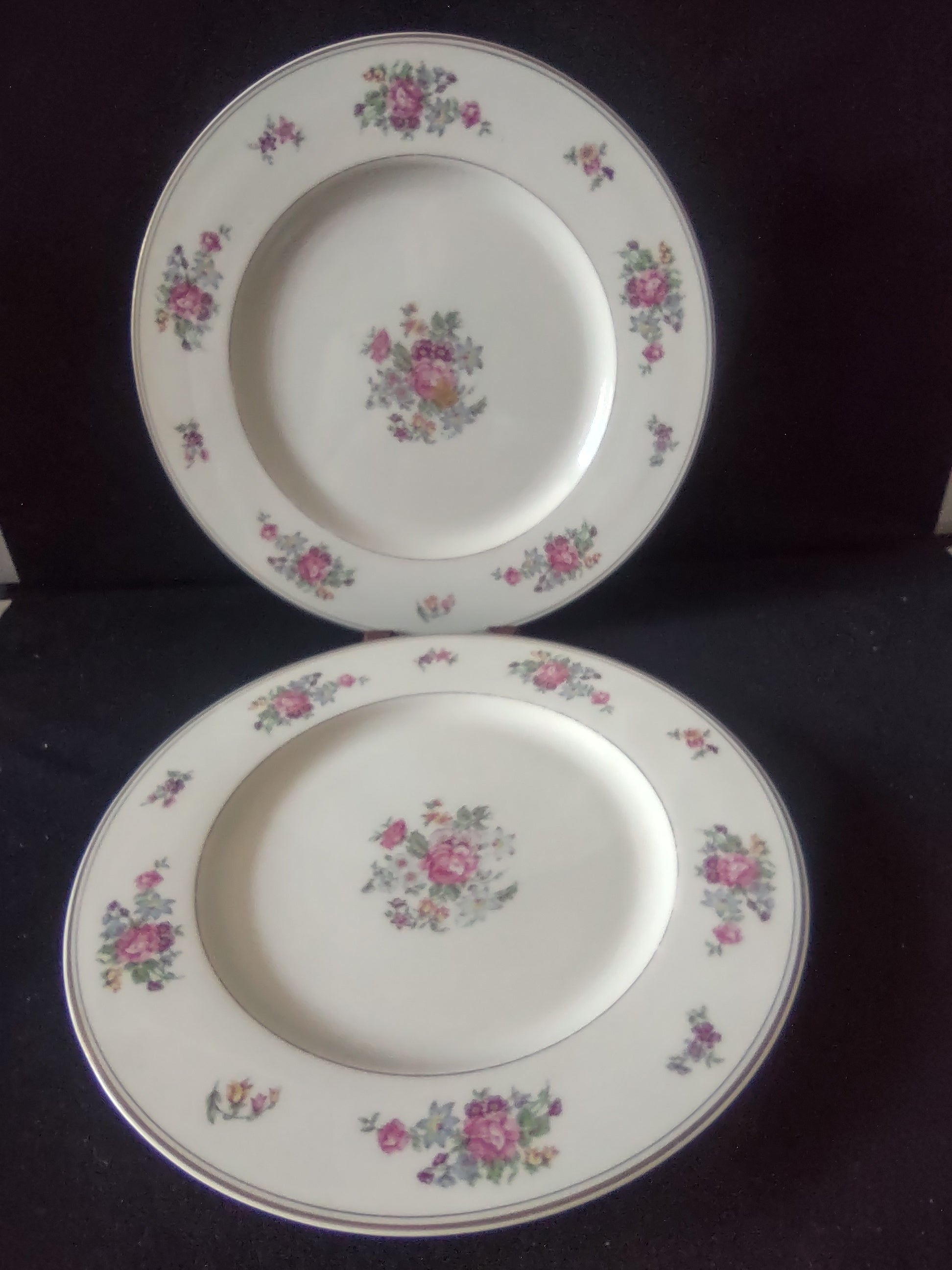 Vintage Theodore Haviland NY Arlington Dinner Plate 10.5" Pair [6806]