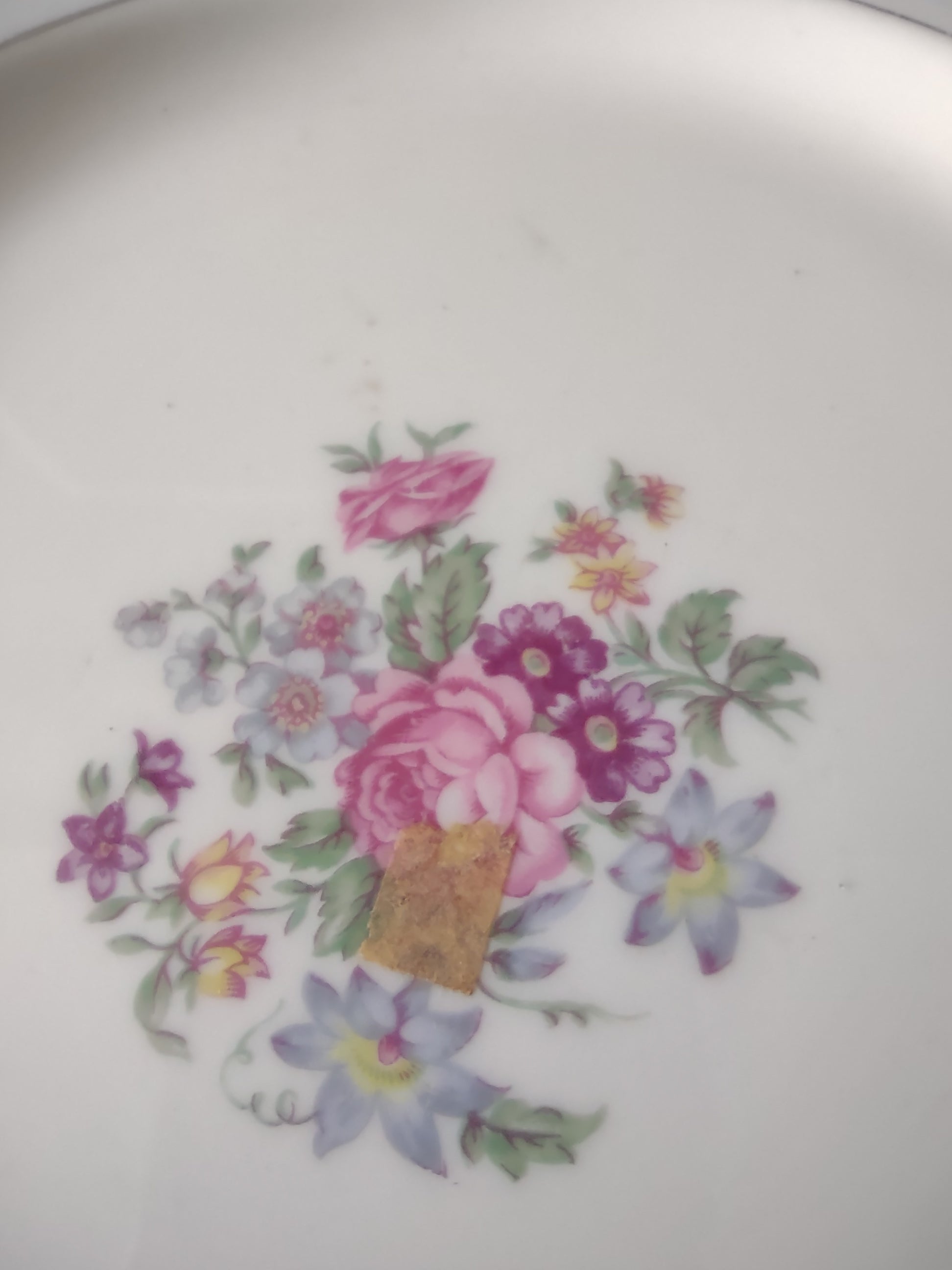 Vintage Theodore Haviland NY Arlington Dinner Plate 10.5" Pair [6806]