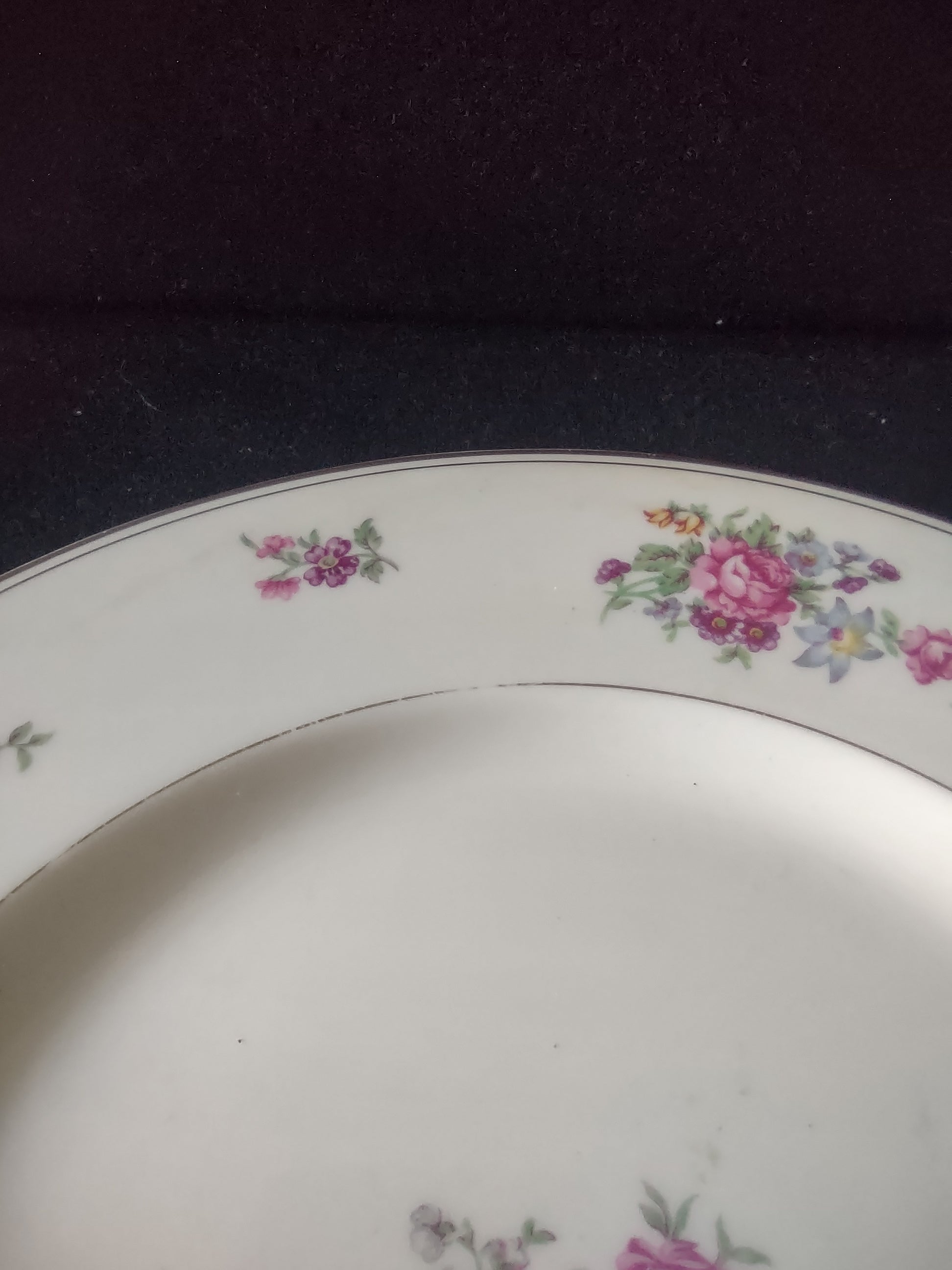 Vintage Theodore Haviland NY Arlington Dinner Plate 10.5" Pair [6806]