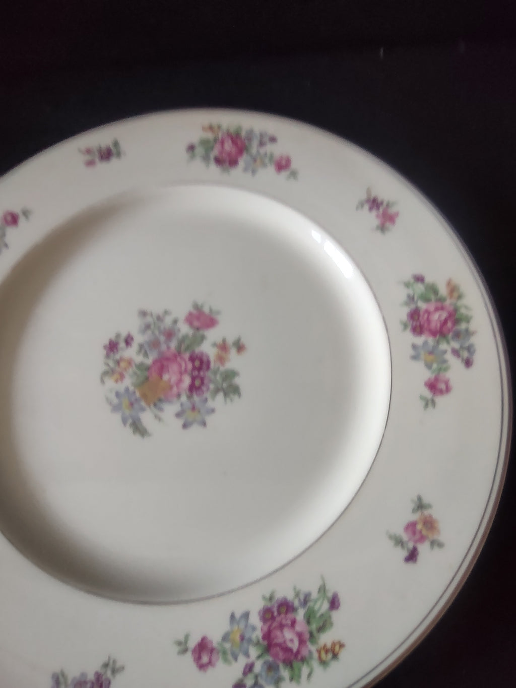 Vintage Theodore Haviland NY Arlington Dinner Plate 10.5" Pair [6806]