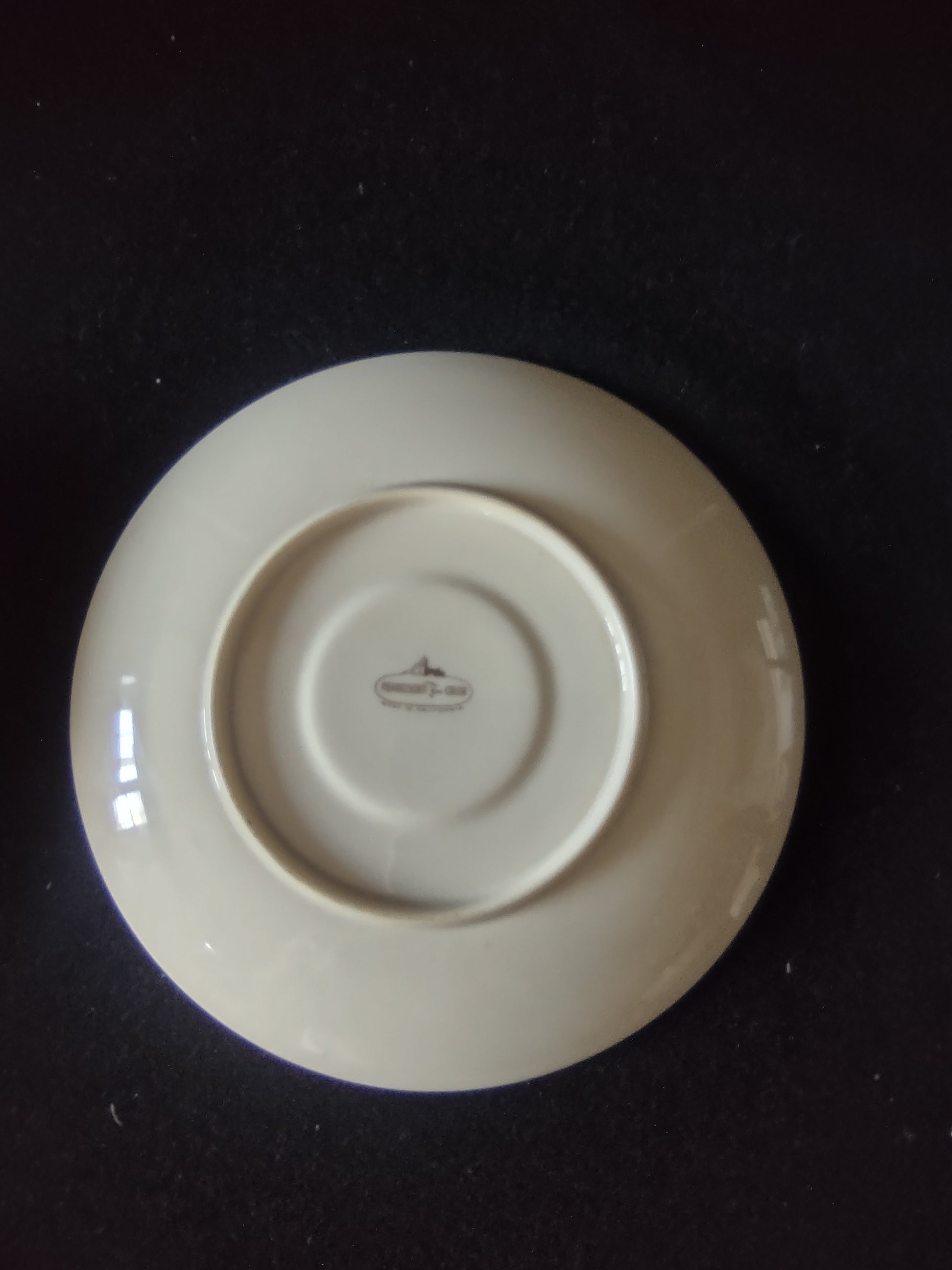 Vintage Franciscan Sandalwood Cup & Saucer Set Platinum Rim [6809]