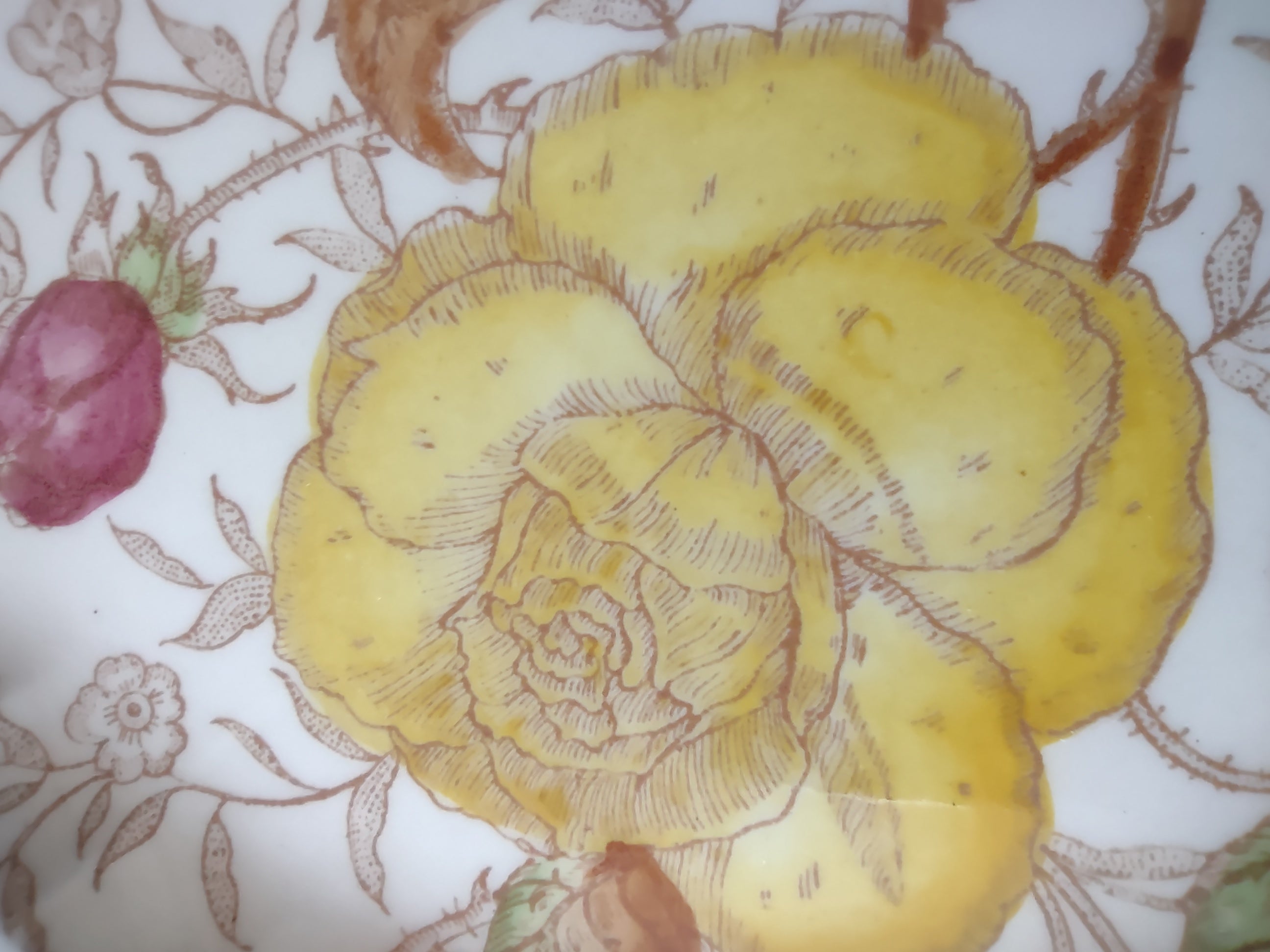 Vintage Vernon Kilns Vernon Rose Hand Painted Scalloped Plate 7" [6813]