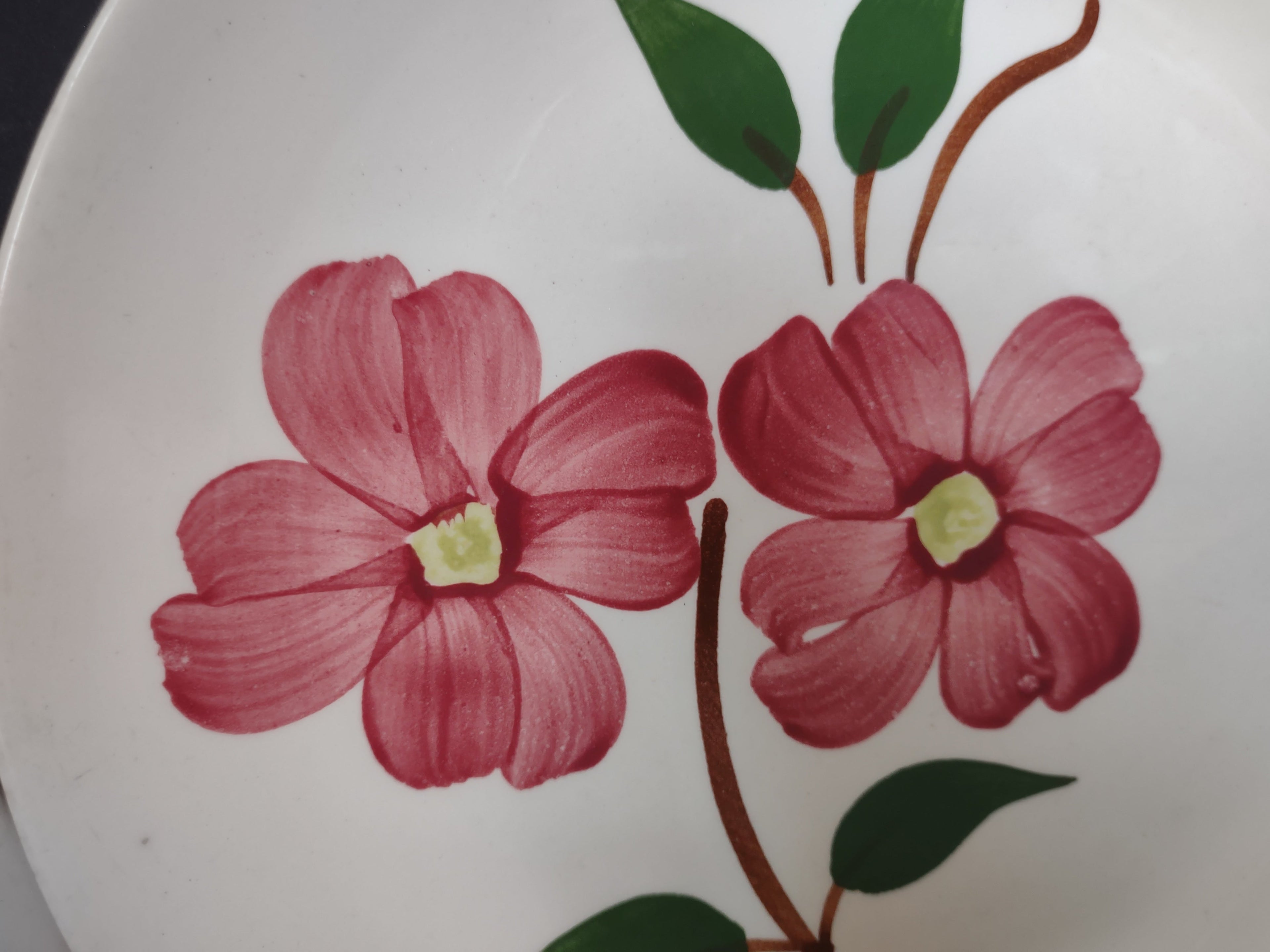 Close-up of hand-painted pink dogwood flowers with green leaves on Blue Ridge plate