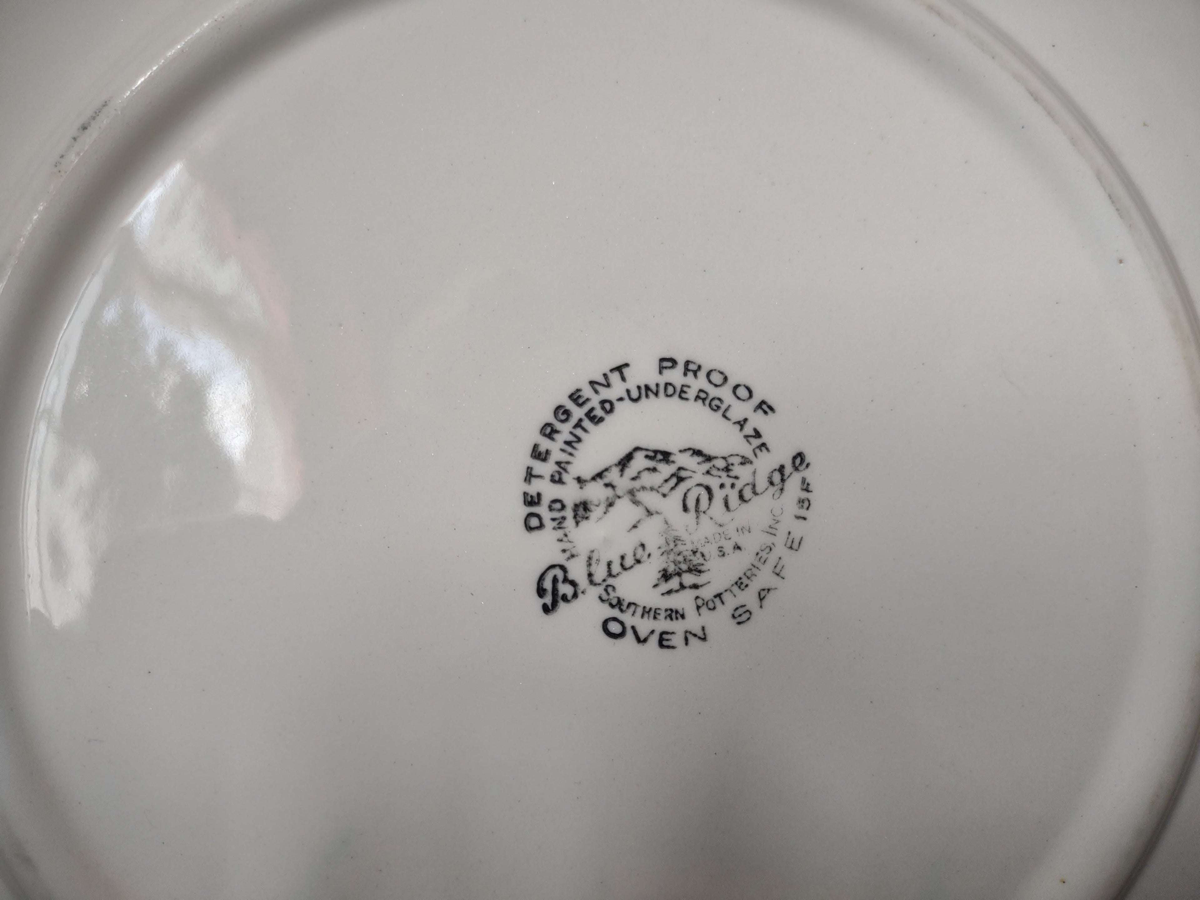 Two vintage Blue Ridge Southern Potteries pink dogwood plates side by side, 9 inch diameter