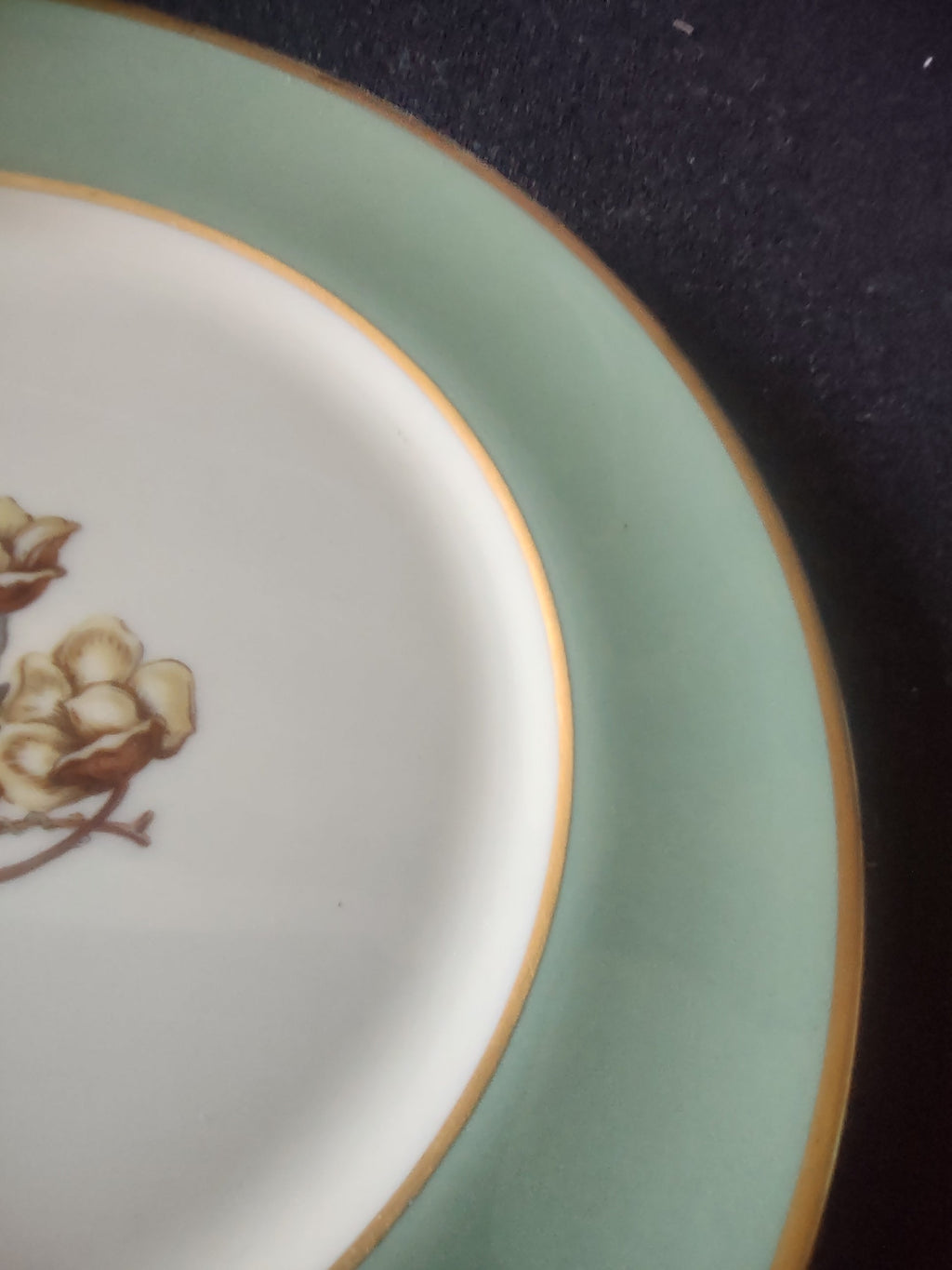 Vintage Flintridge China celadon green floral plate - close-up of gold rim showing age-appropriate wear