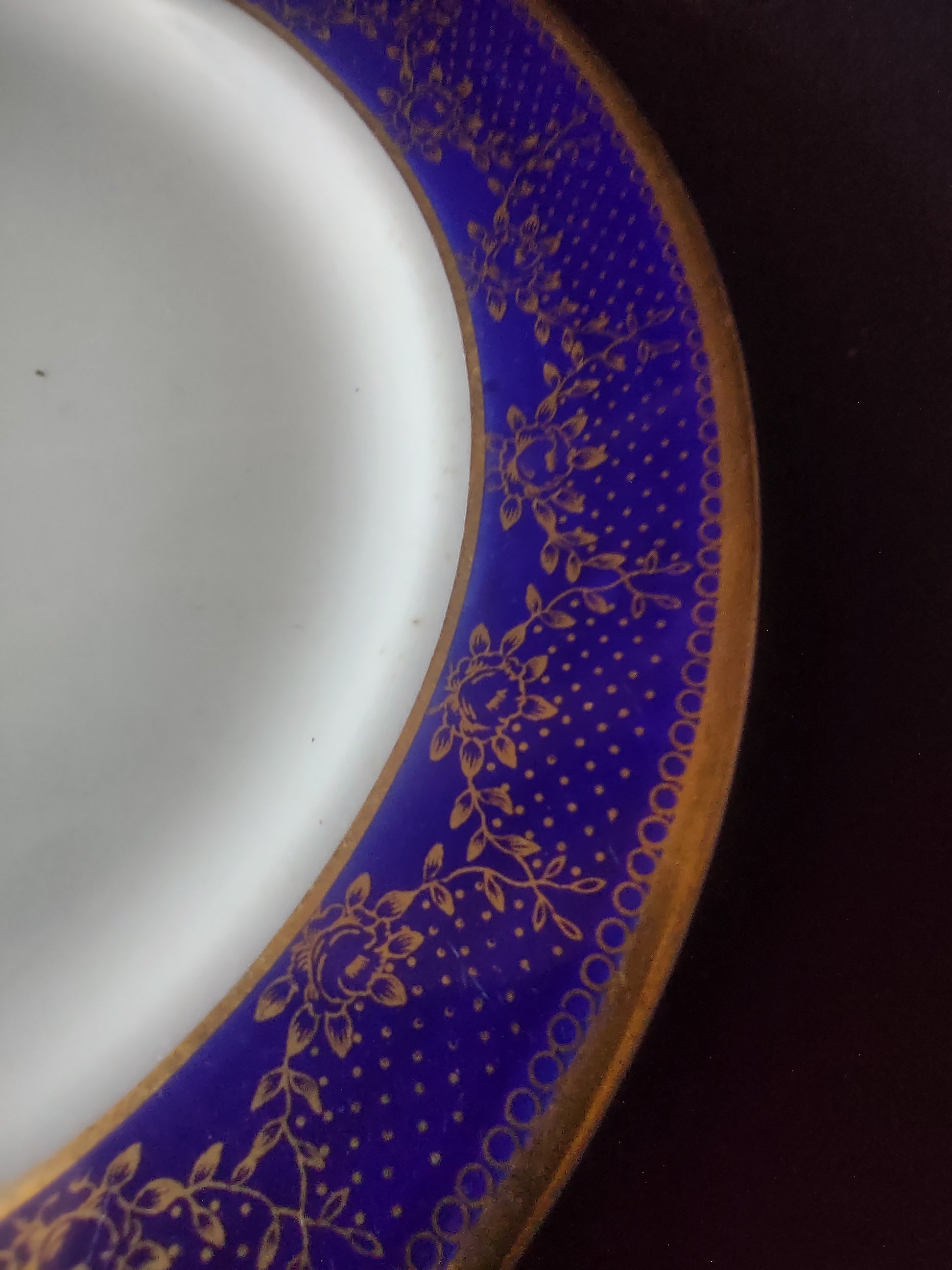 Close-up of cobalt blue border with gold floral vine and dot decoration