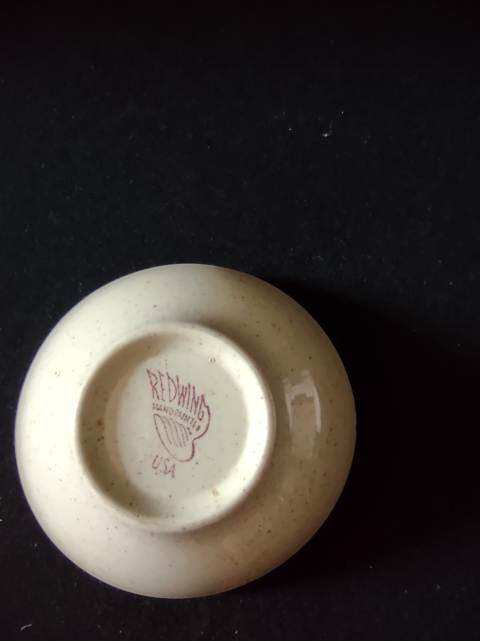 Vintage Red Wing Hand Painted Tampico Oval Bowl USA [6867]