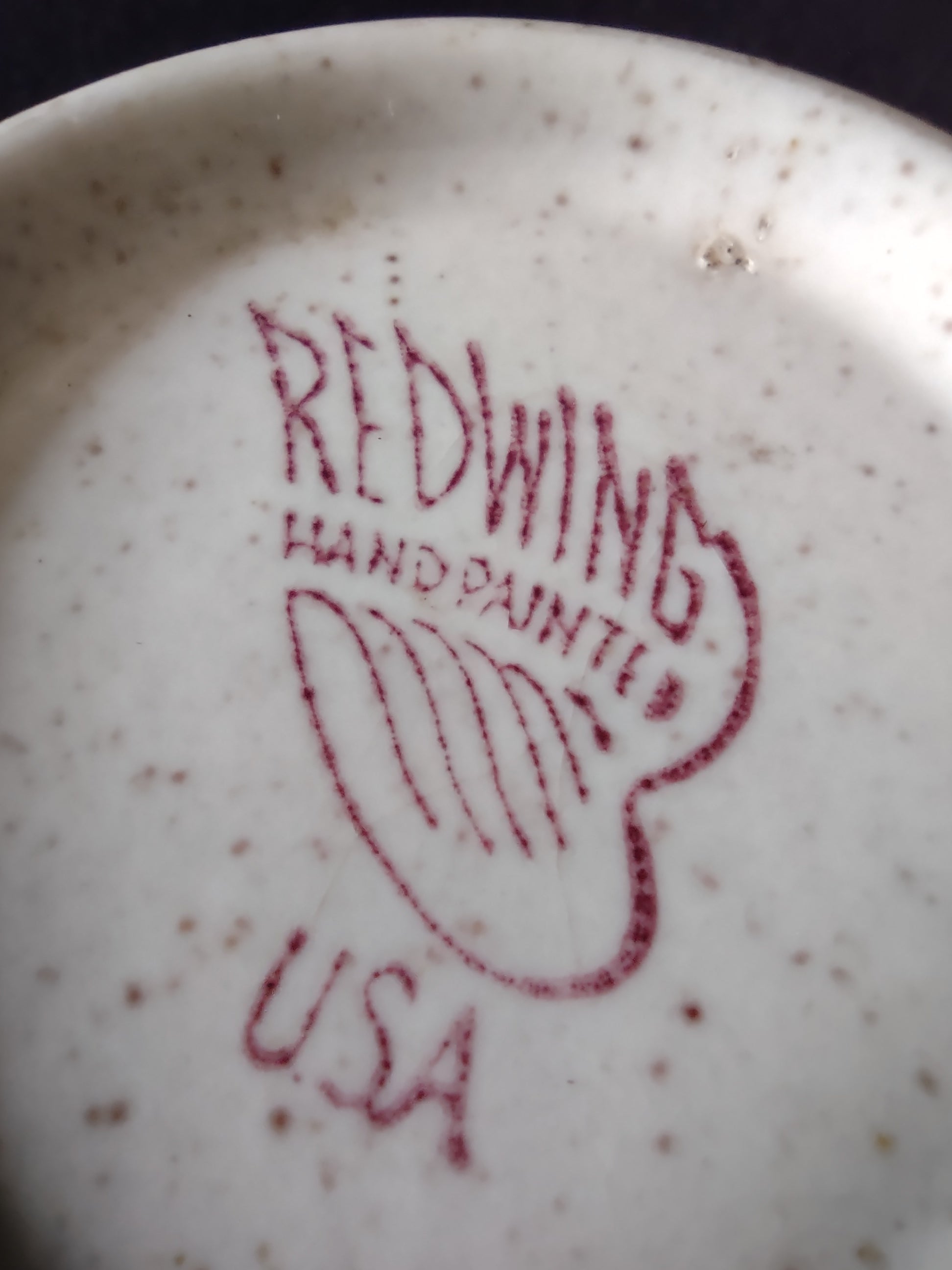 Vintage Red Wing Hand Painted Tampico Oval Bowl USA [6867]