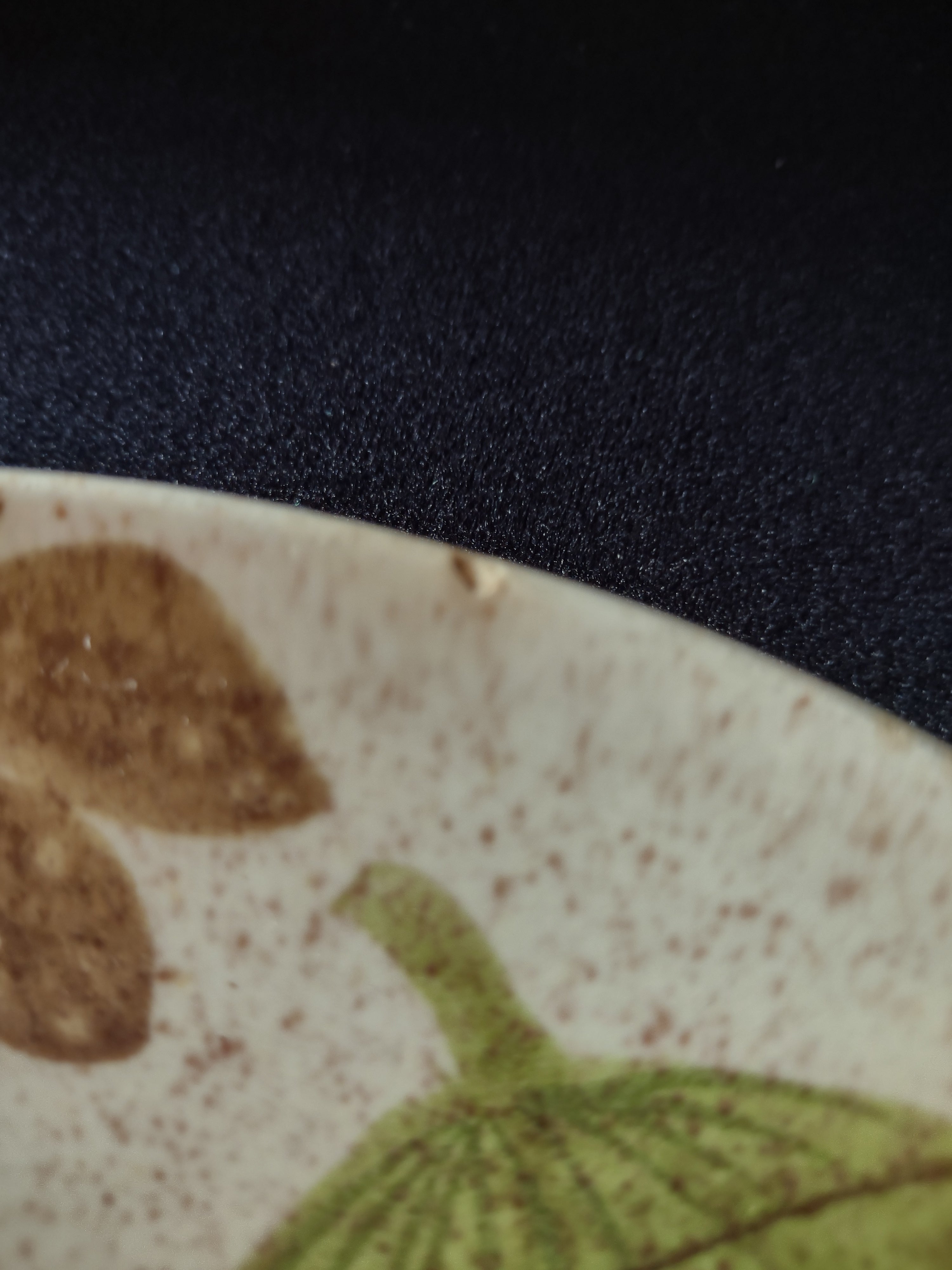 Vintage Red Wing Hand Painted Tampico Plate USA - additional detail view