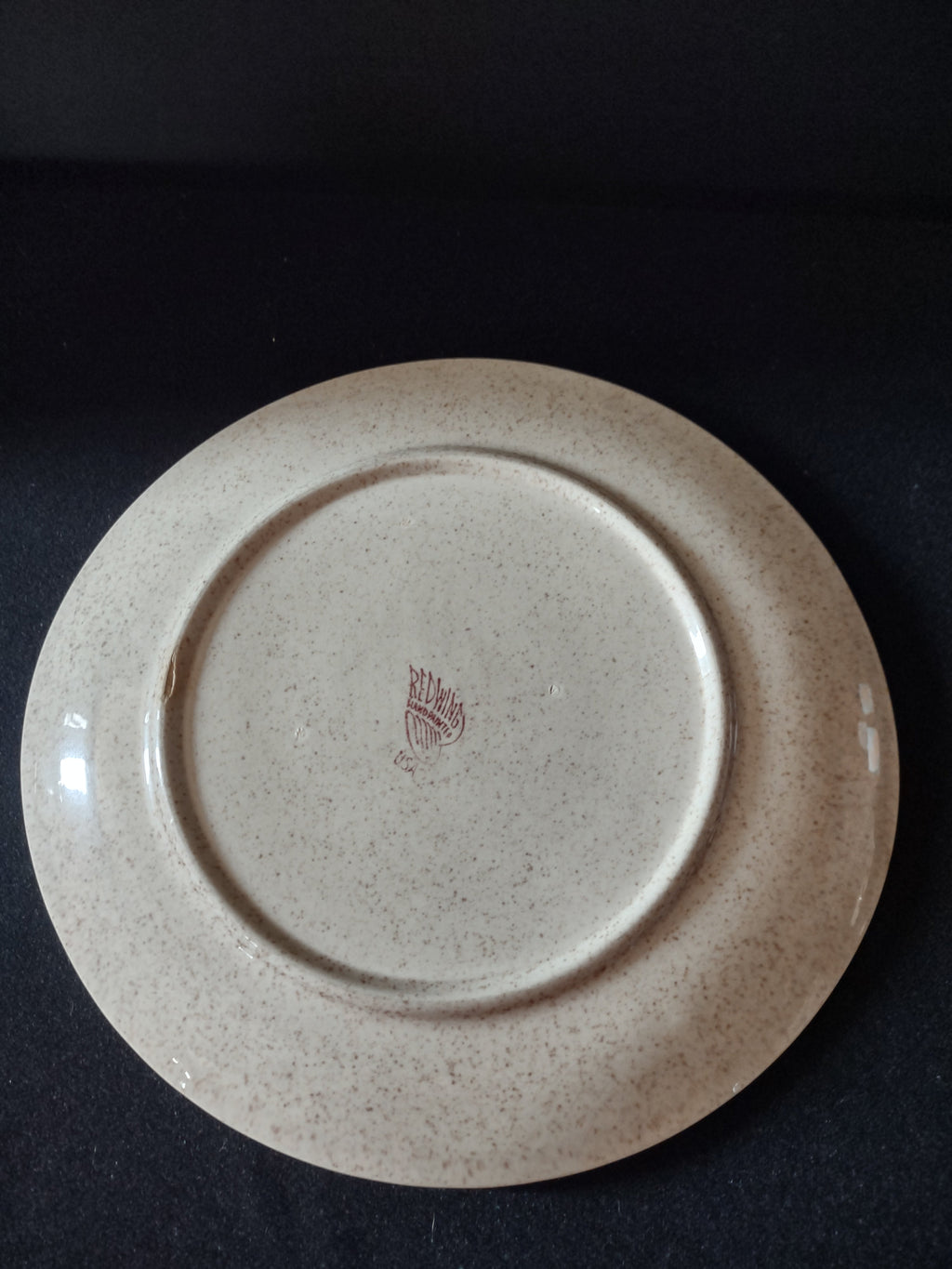 Vintage Red Wing Hand Painted Tampico Plate USA - additional detail view