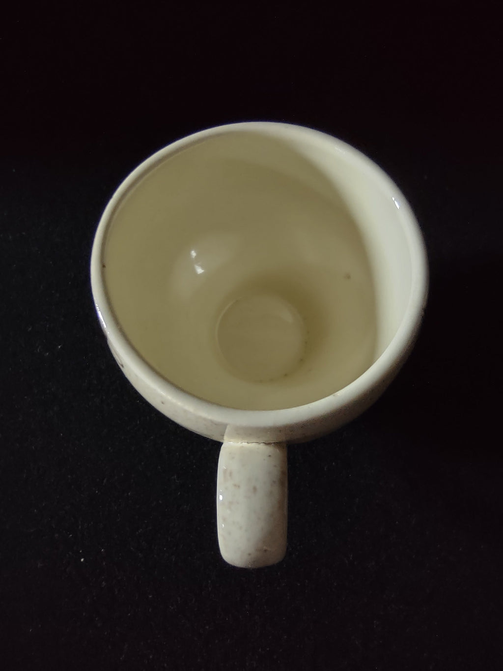 Vintage Red Wing Tampico Cup and Saucer Set - close-up of saucer leaf pattern detail