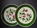 Vintage Stangl Pottery Thistle plates set of 2 - both plates showing green rim and pink thistle pattern