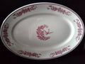 Vintage Jackson China Pink Hummingbird Floral Oval Platter - close-up of hummingbird and floral center motif