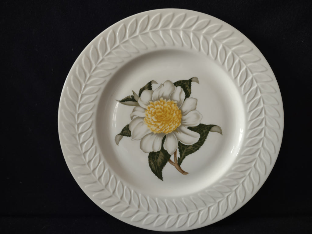 Vintage Theodore Haviland NY Regents Park Camellia White Floral Plate [6898]