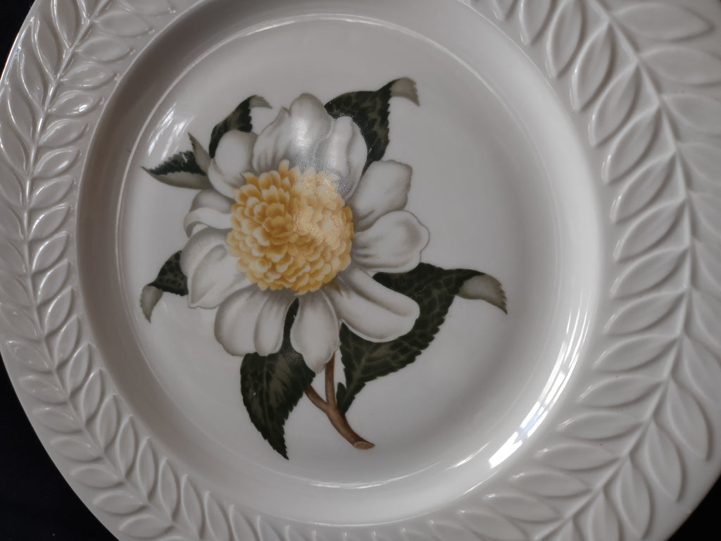 Vintage Theodore Haviland NY Regents Park Camellia White Floral Plate [6898]