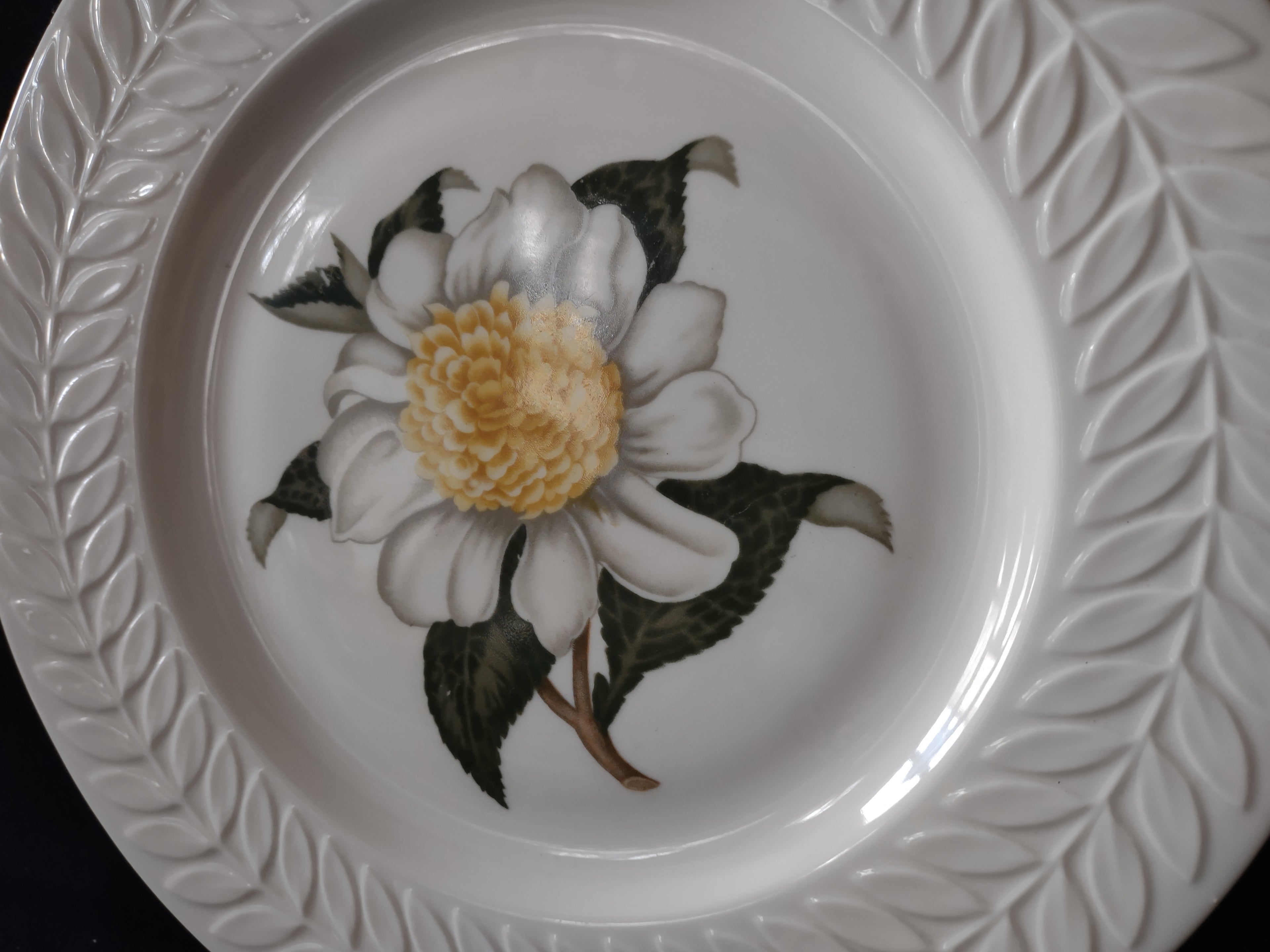 Vintage Theodore Haviland NY Regents Park Camellia White Floral Plate [6898]