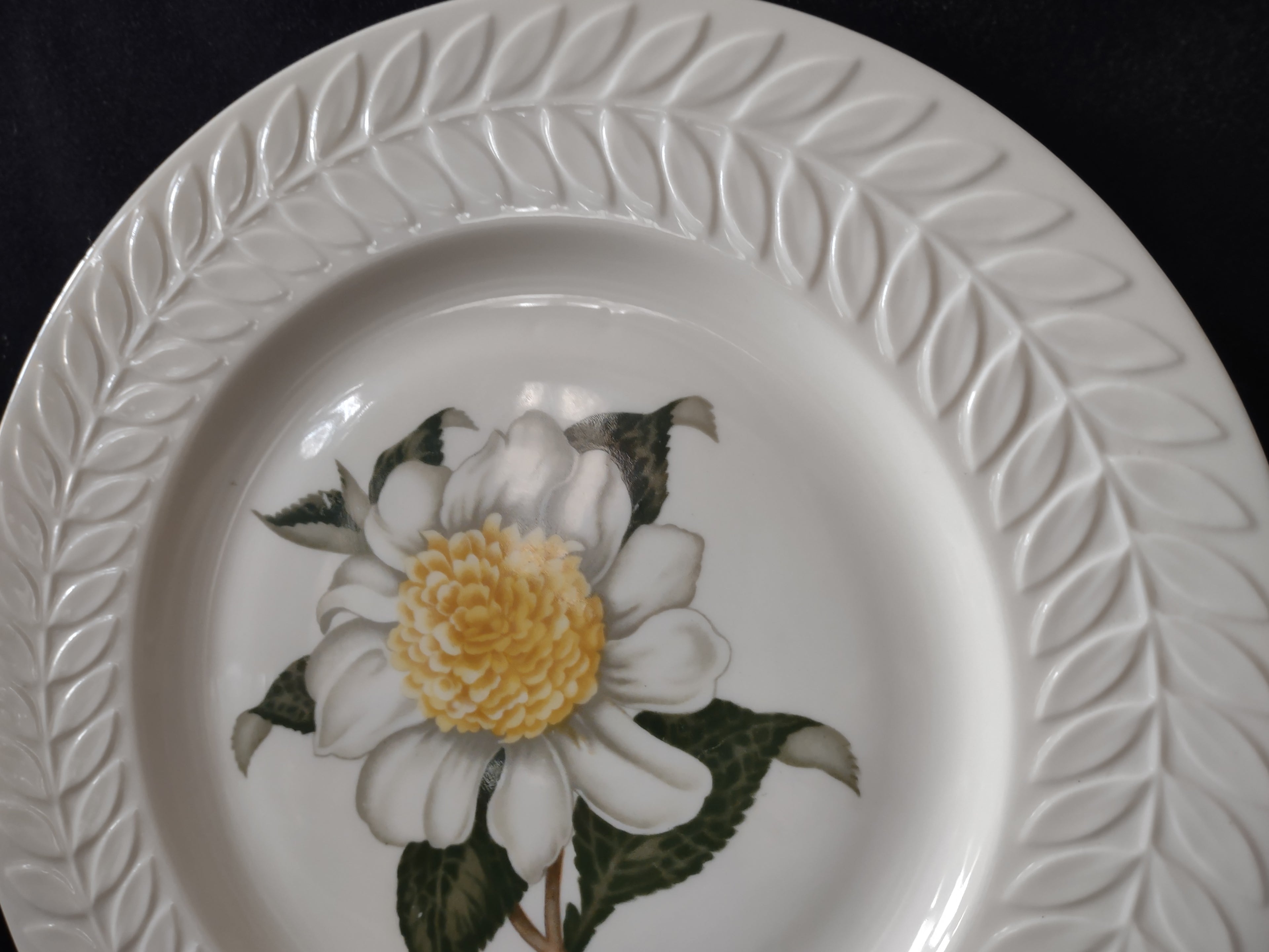 Vintage Theodore Haviland NY Regents Park Camellia White Floral Plate [6898]