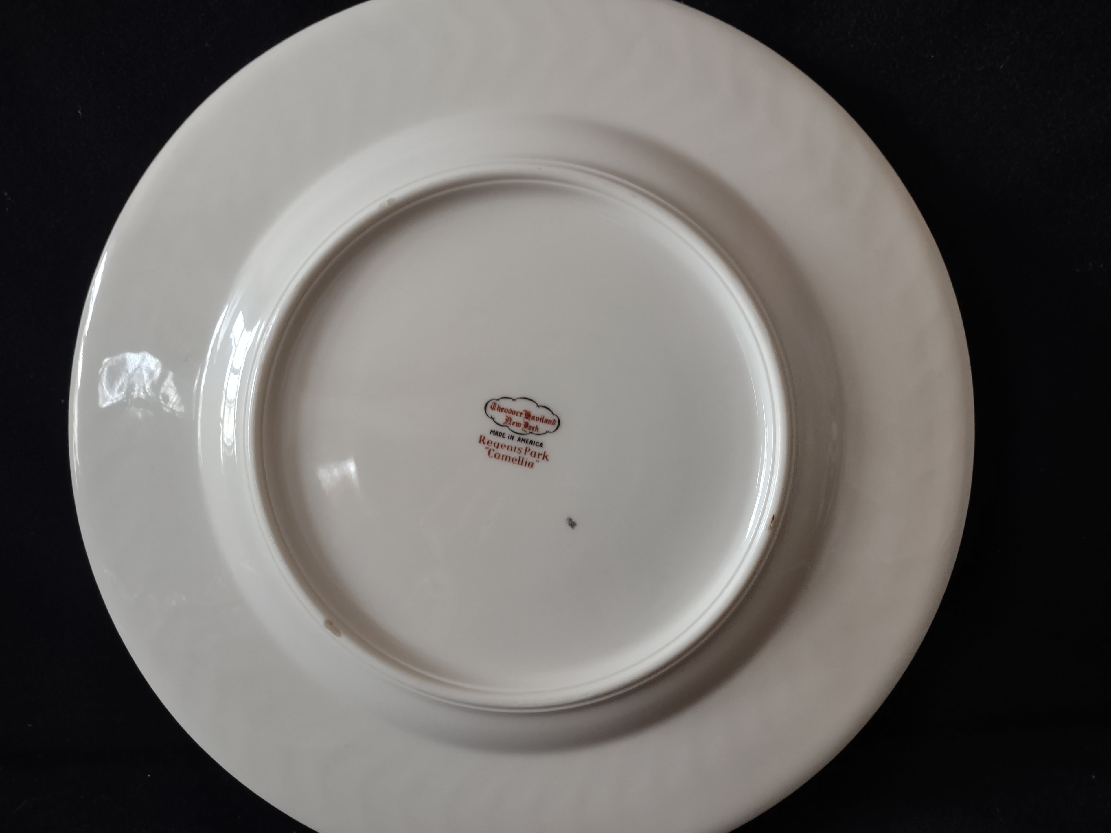 Vintage Theodore Haviland NY Regents Park Camellia White Floral Plate [6898]