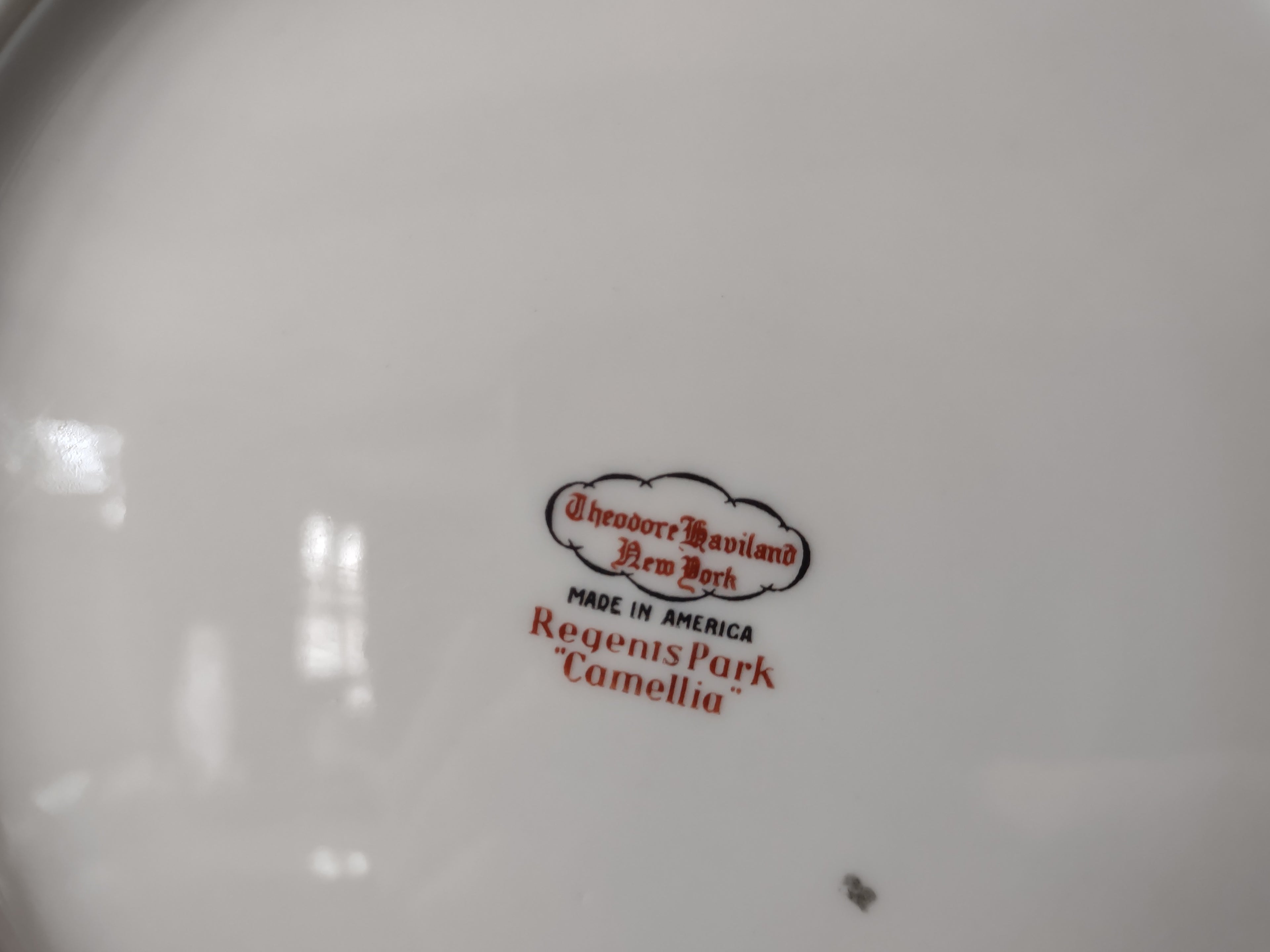 Vintage Theodore Haviland NY Regents Park Camellia White Floral Plate [6898]