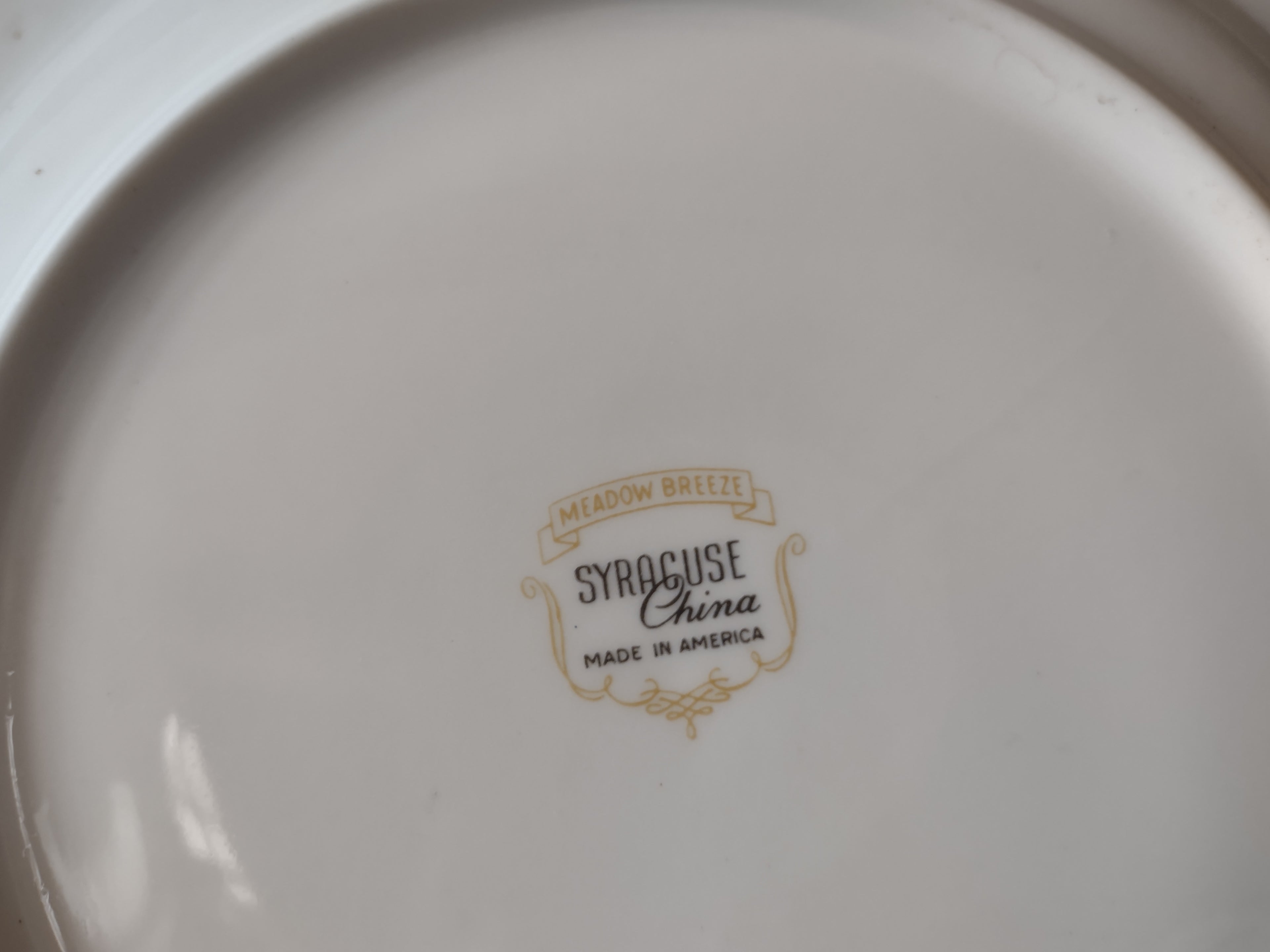 Vintage Castleton Fine China Festival Fuchsia Floral Dinner Plate USA [6885]