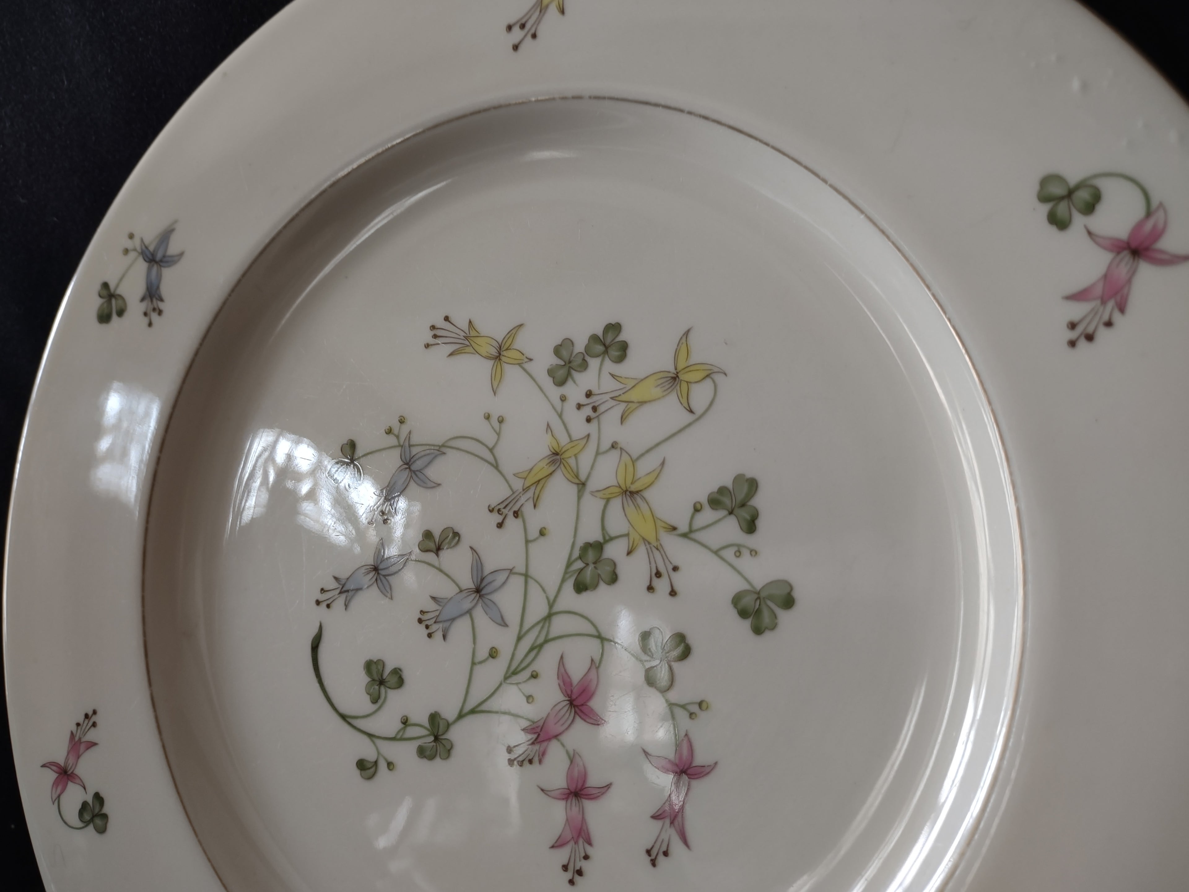 Vintage Castleton Fine China Festival Fuchsia Floral Dinner Plate USA [6885]