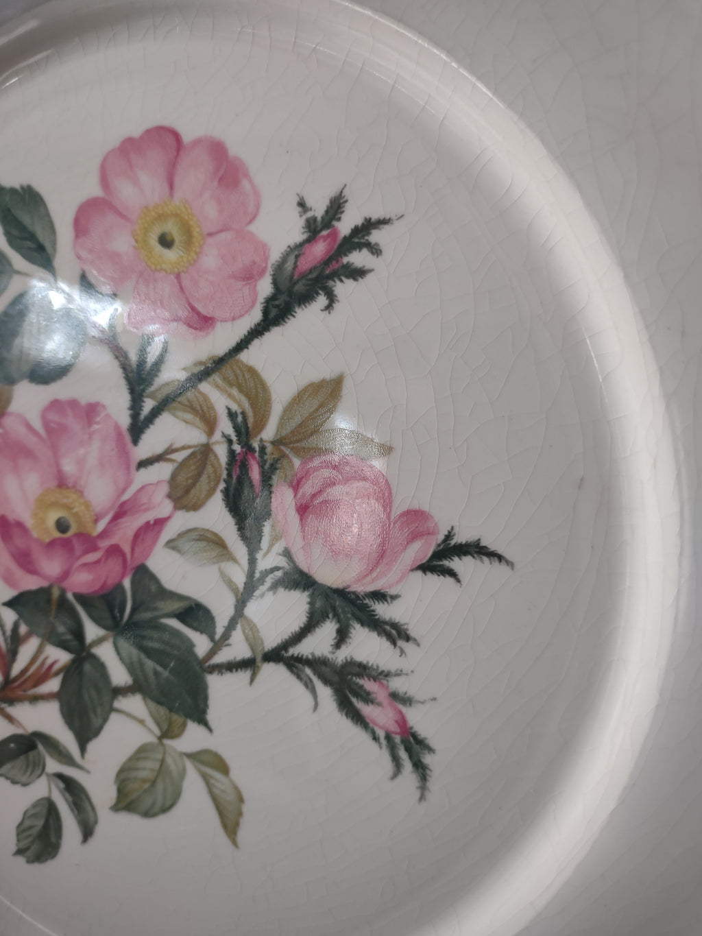 Vintage Harker Royal Gadroon Pink Wild Rose Embossed Rim Dinner Plate [6894]