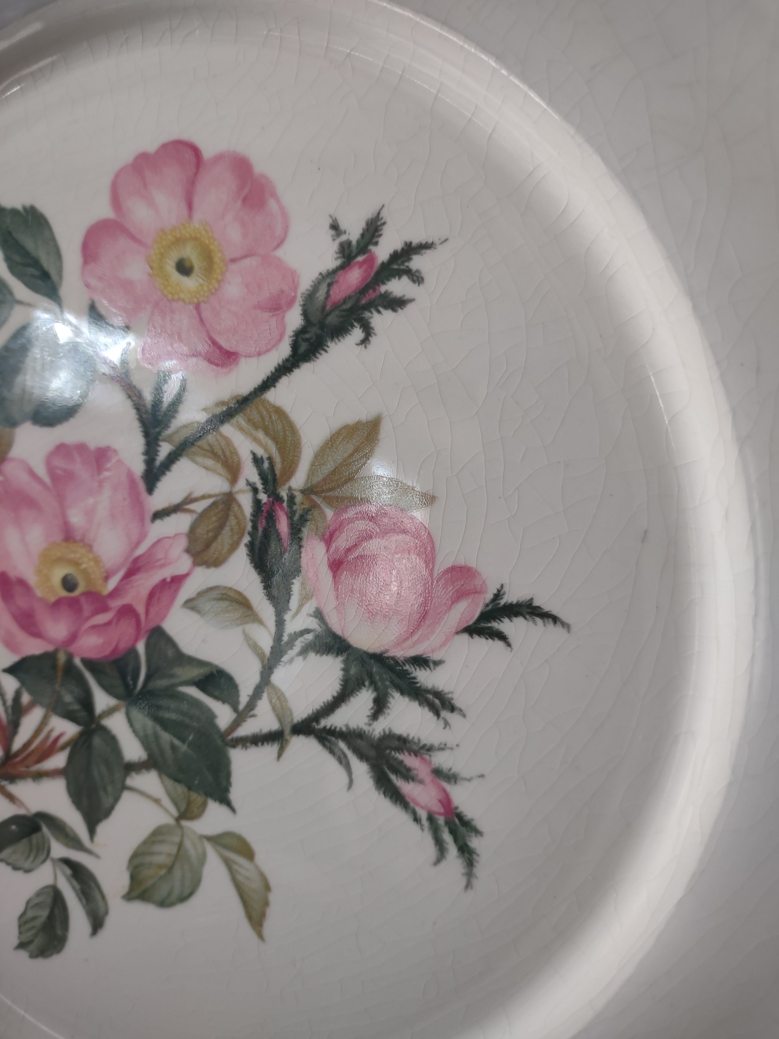 Vintage Harker Royal Gadroon Pink Wild Rose Embossed Rim Dinner Plate [6894]