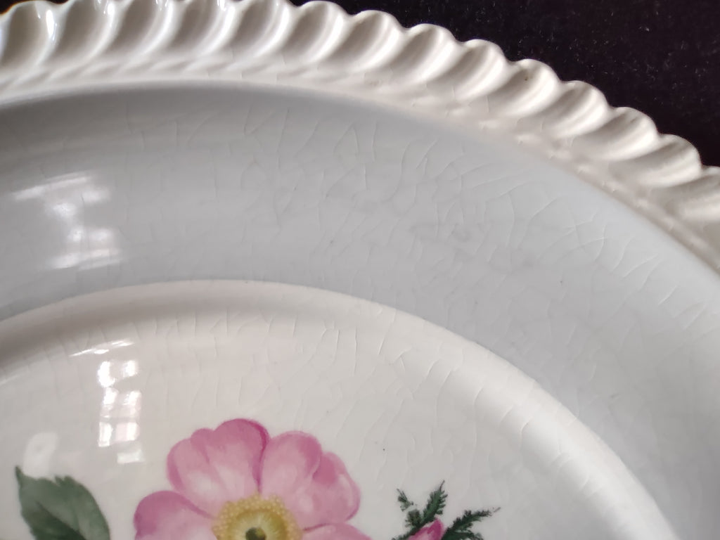 Vintage Harker Royal Gadroon Pink Wild Rose Embossed Rim Dinner Plate [6894]