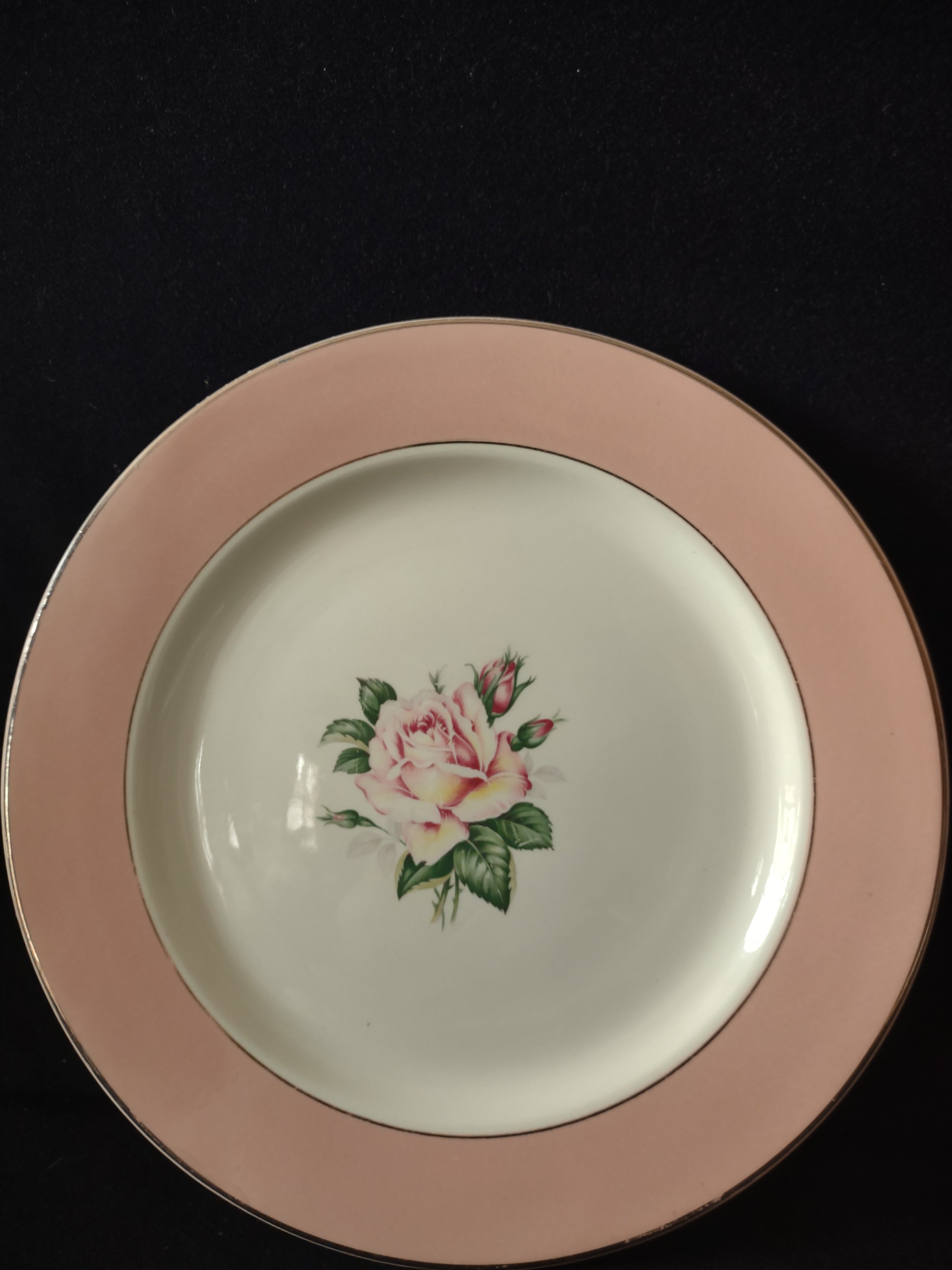 Vintage Lifetime China Co Pink Rose Pink Border Dinner Plate [6893]