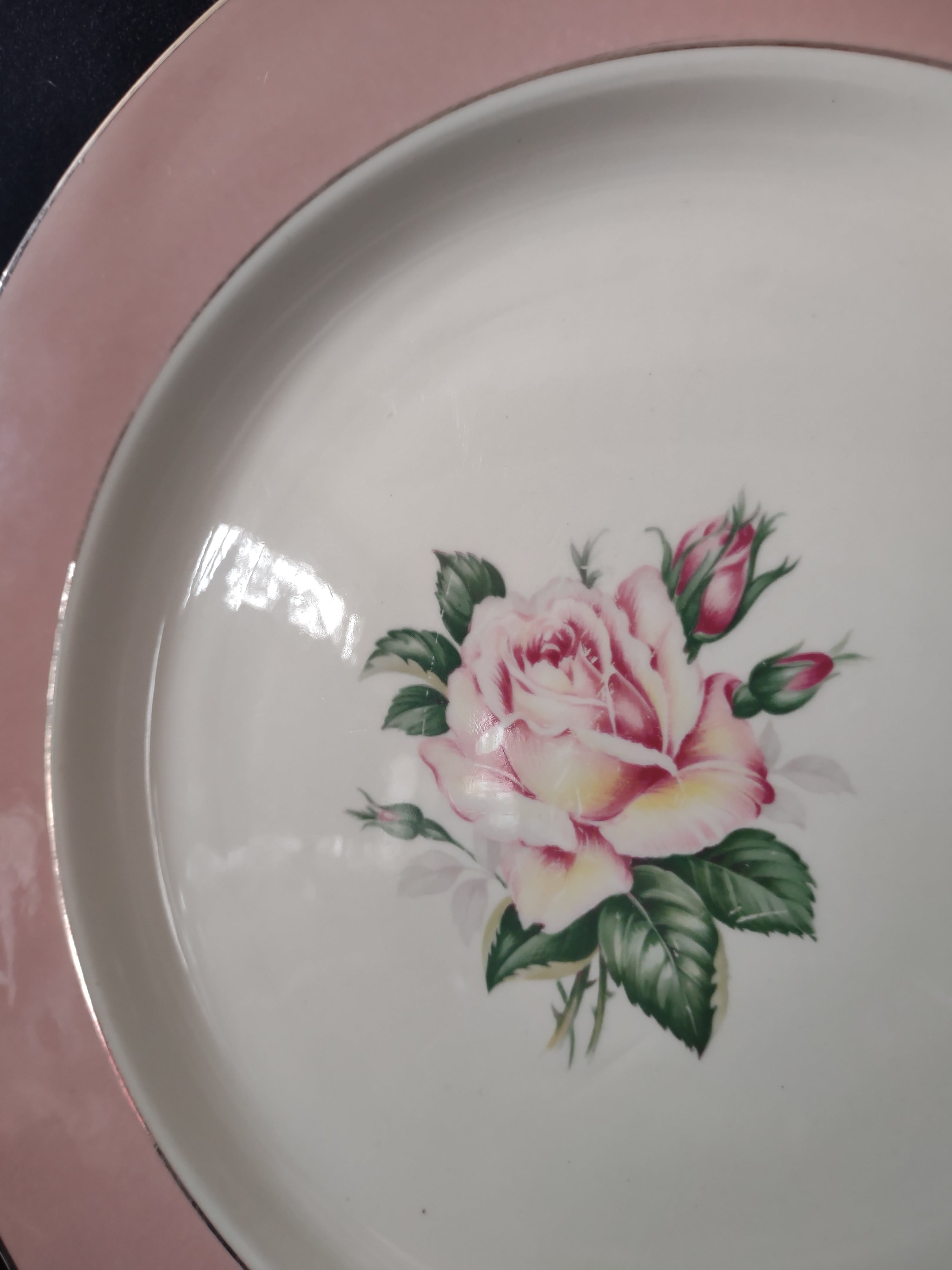 Vintage Lifetime China Co Pink Rose Pink Border Dinner Plate [6893]