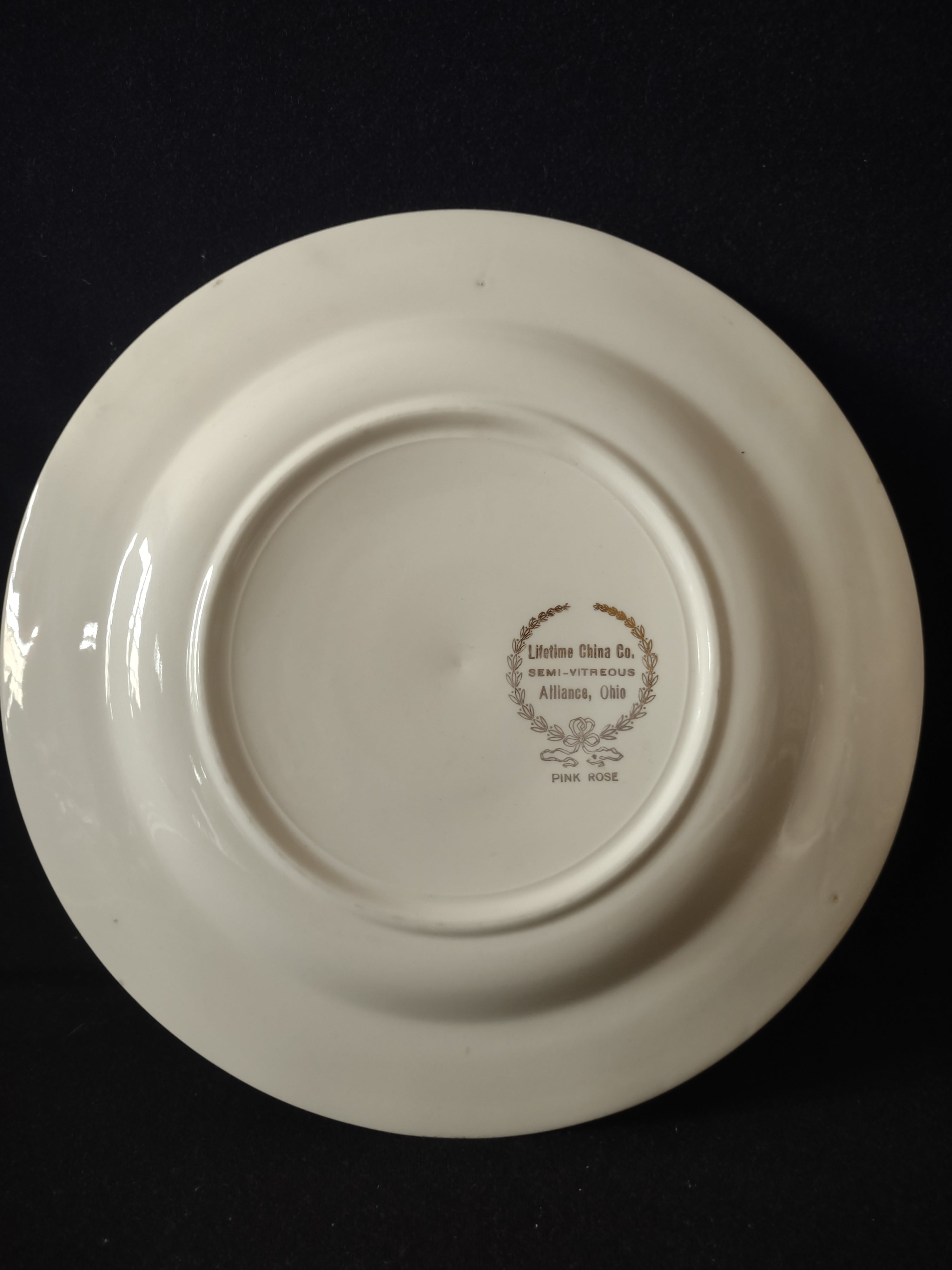 Vintage Lifetime China Co Pink Rose Pink Border Dinner Plate [6893]