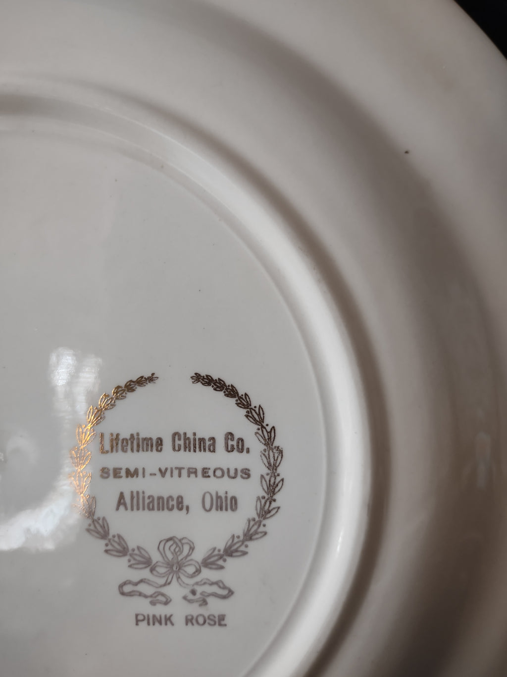 Vintage Lifetime China Co Pink Rose Pink Border Dinner Plate [6893]