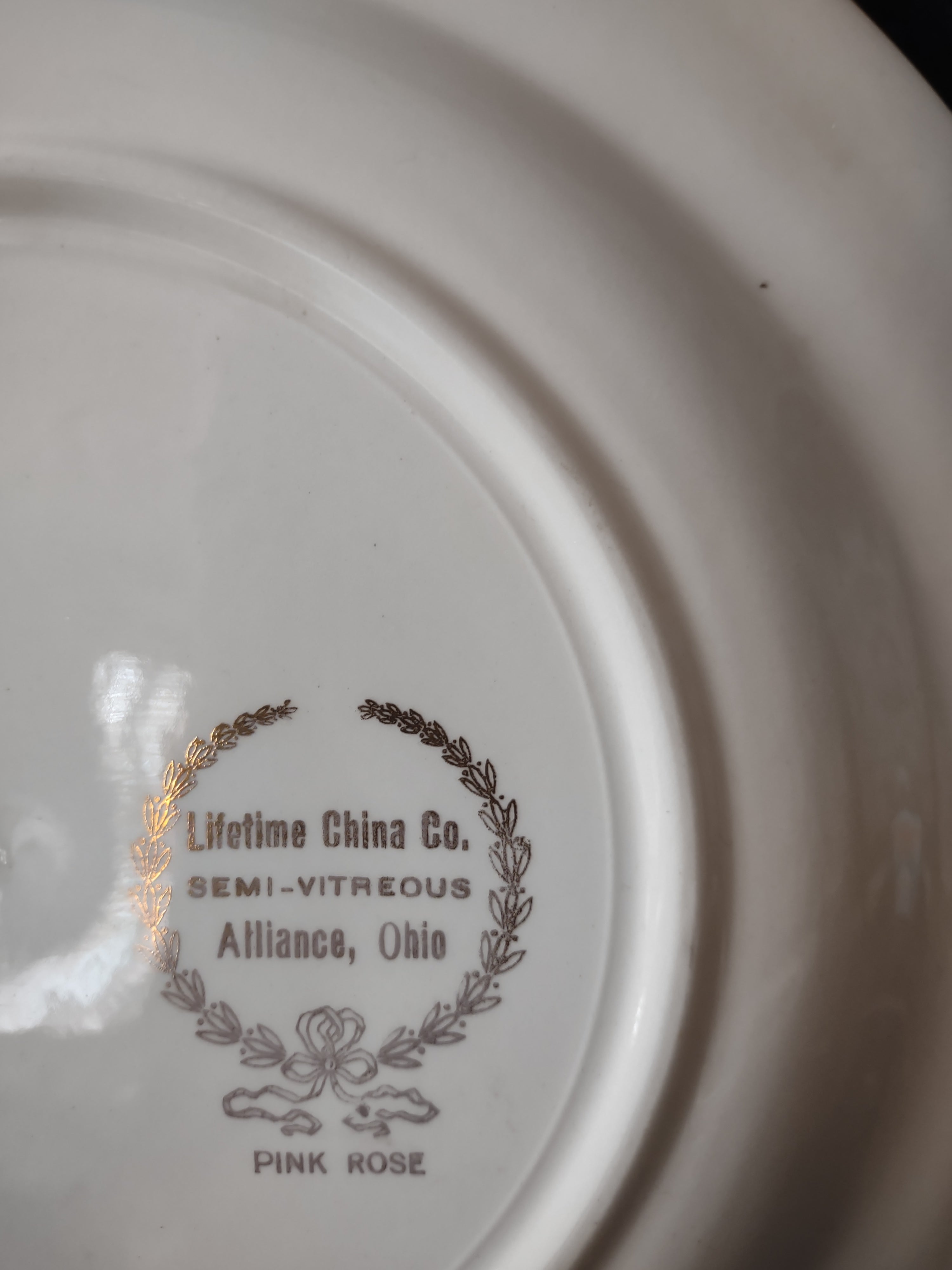 Vintage Lifetime China Co Pink Rose Pink Border Dinner Plate [6893]