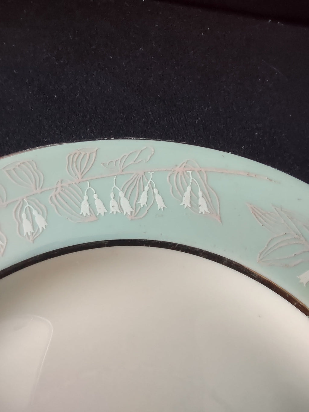 Iroquois China Fern Hunte plate rim detail with platinum trim