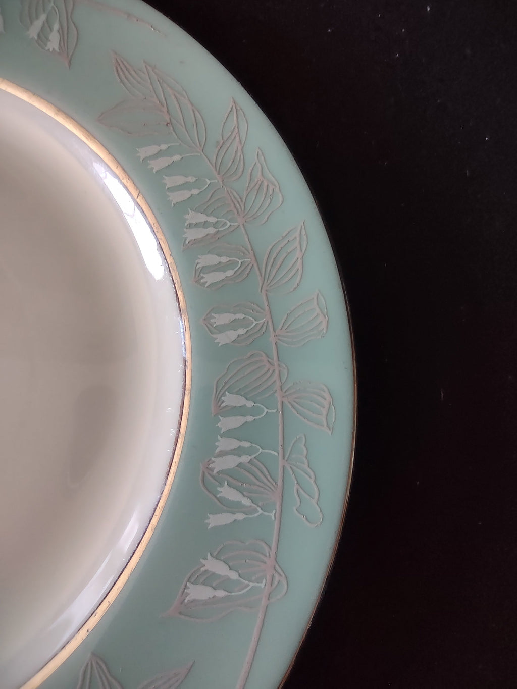 Iroquois China Fern Hunte plate additional border detail