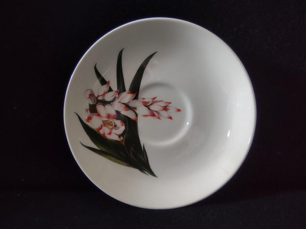 Santa Anita Ware Shell Ginger saucer front view showing full pattern